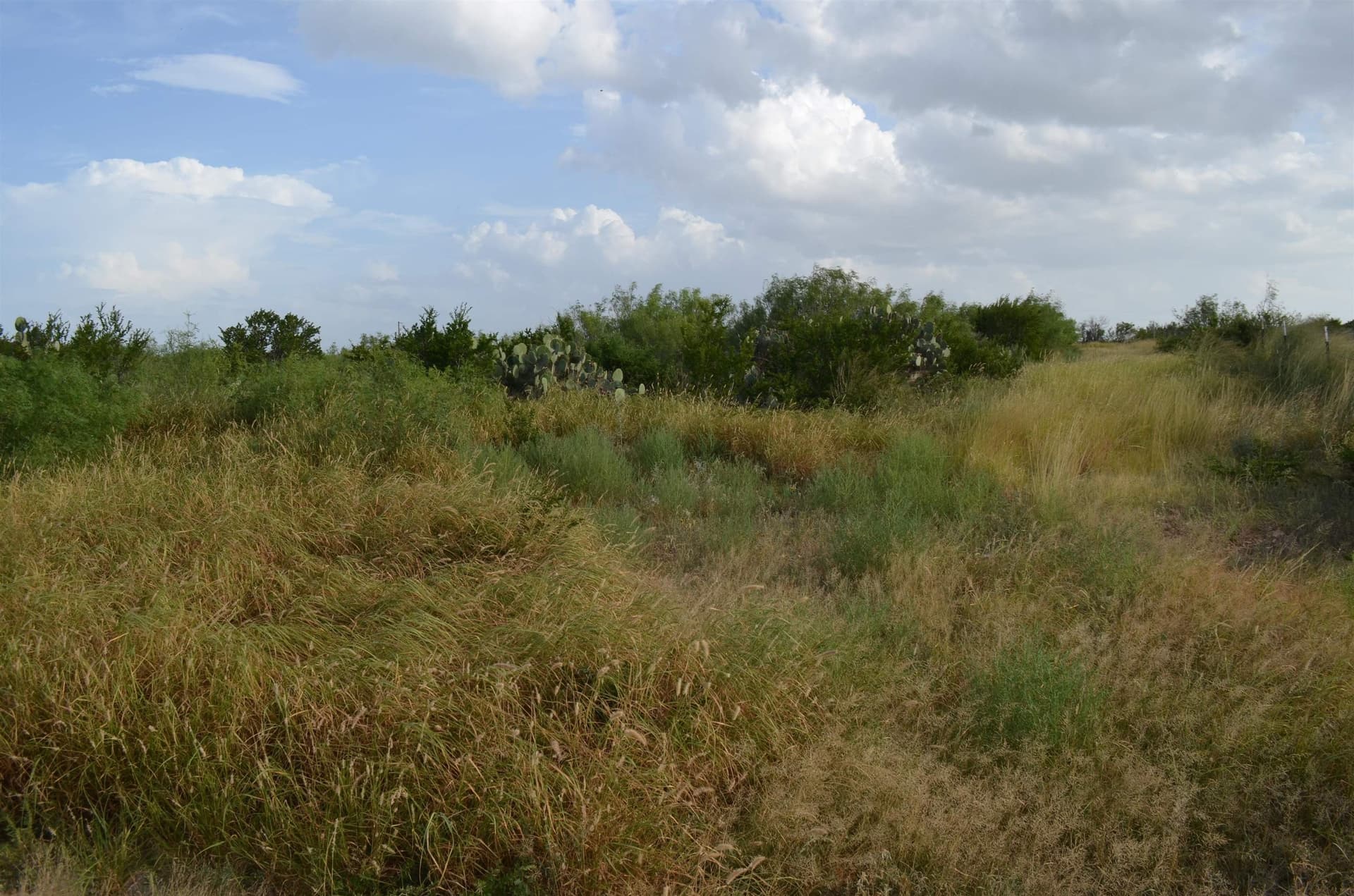 0.97 acres in Webb County - photo 9