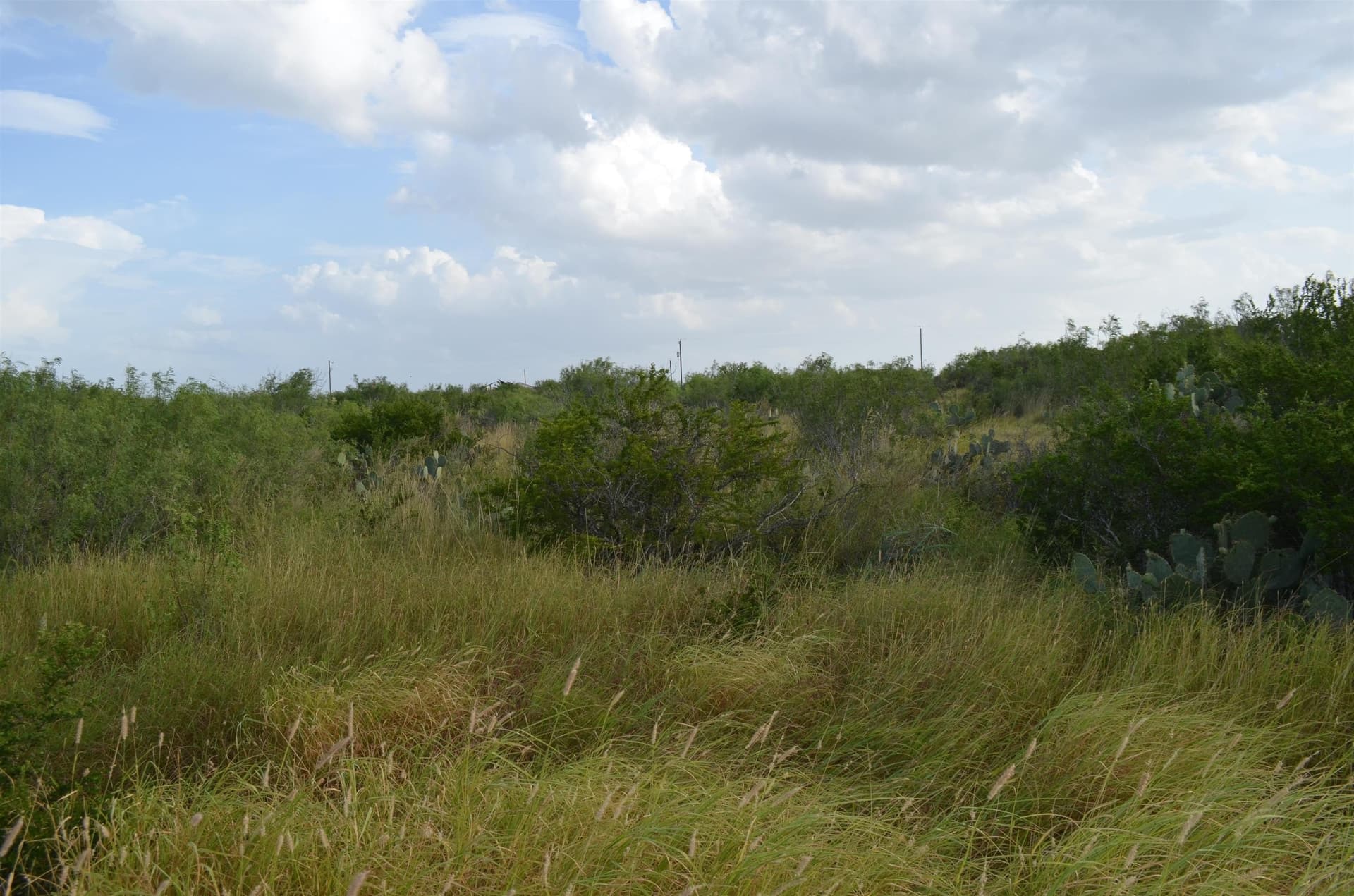 0.97 acres in Webb County - photo 8