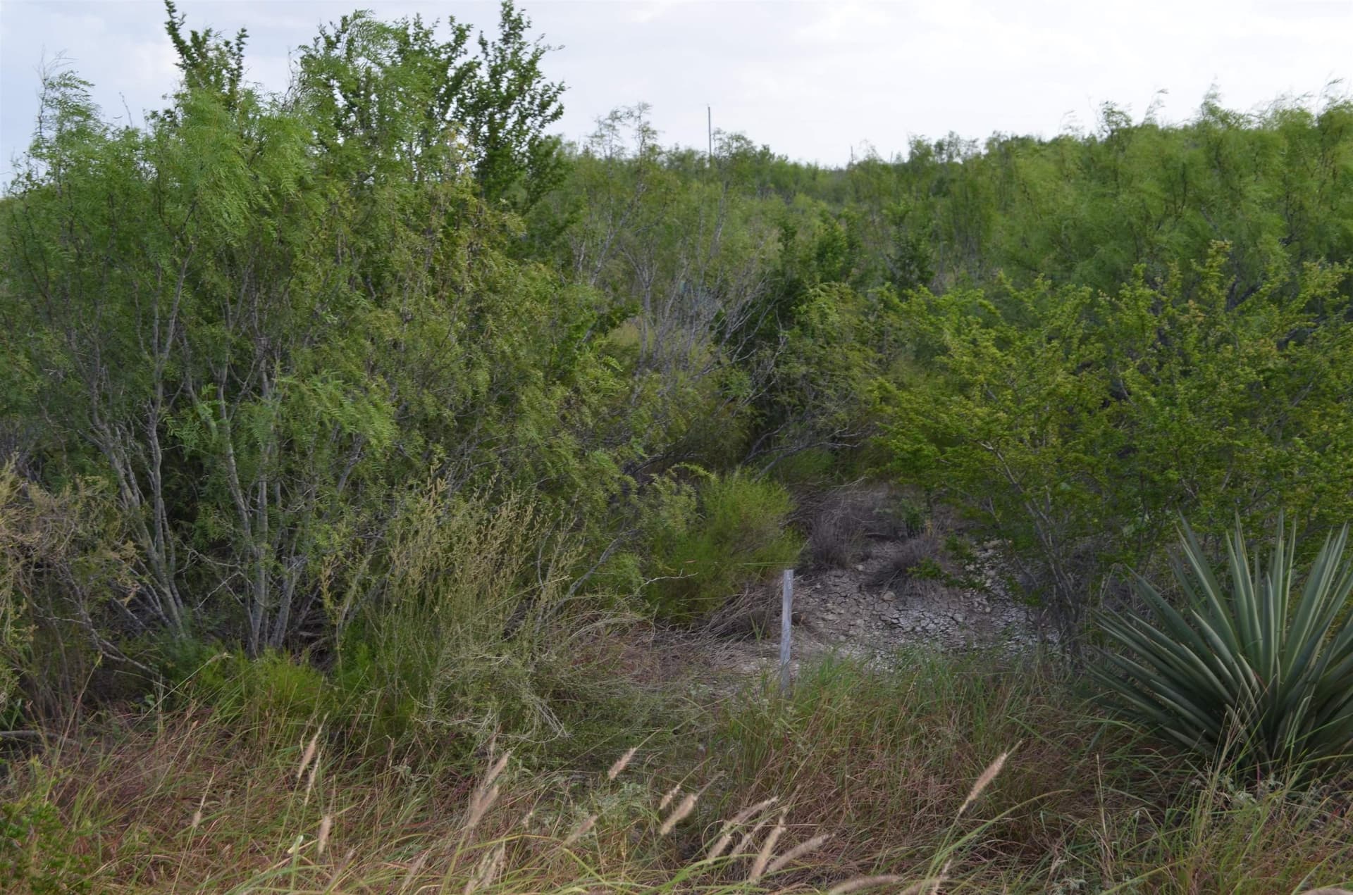 0.97 acres in Webb County - photo 7