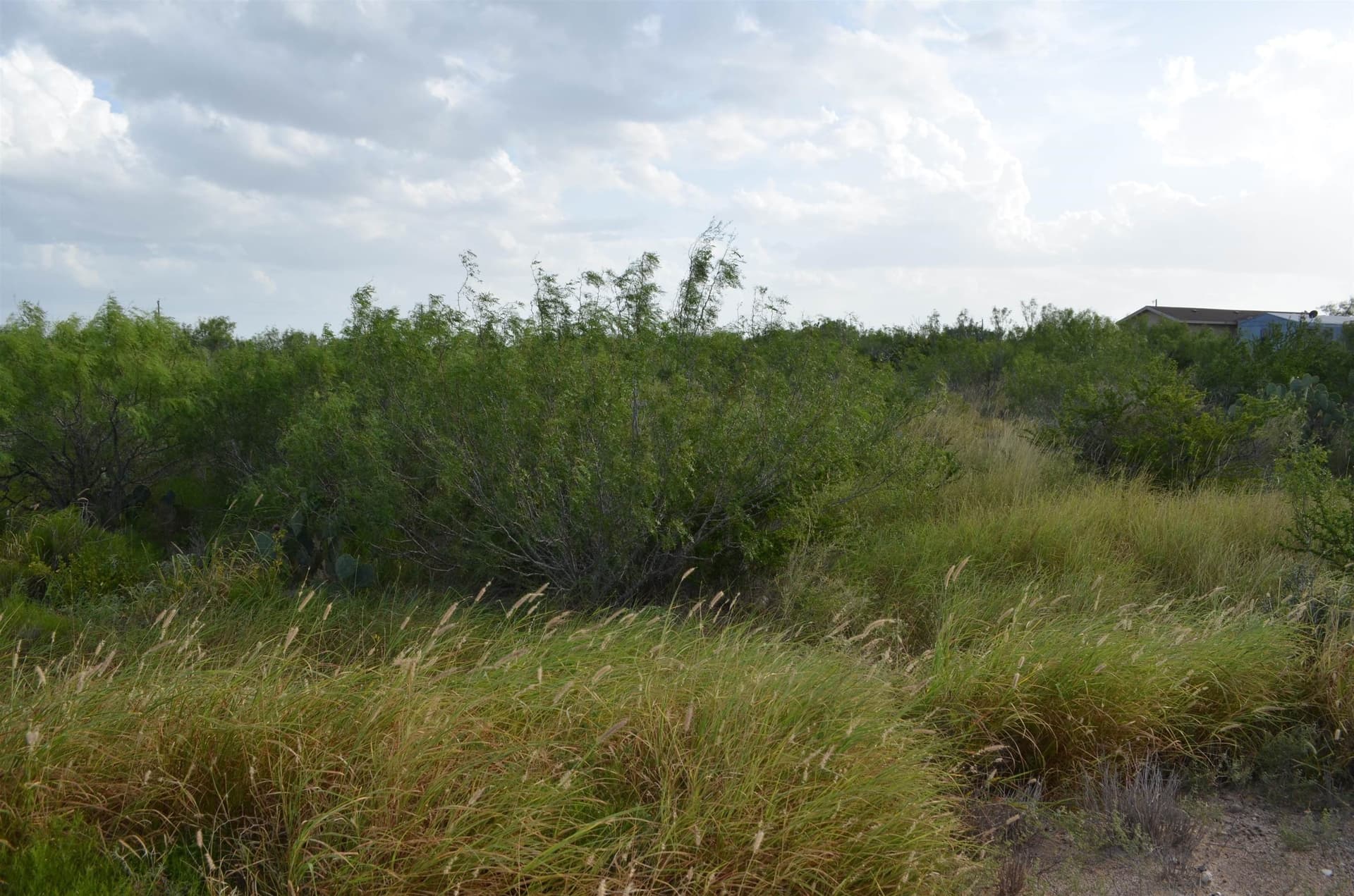 0.97 acres in USA County gallery image 2