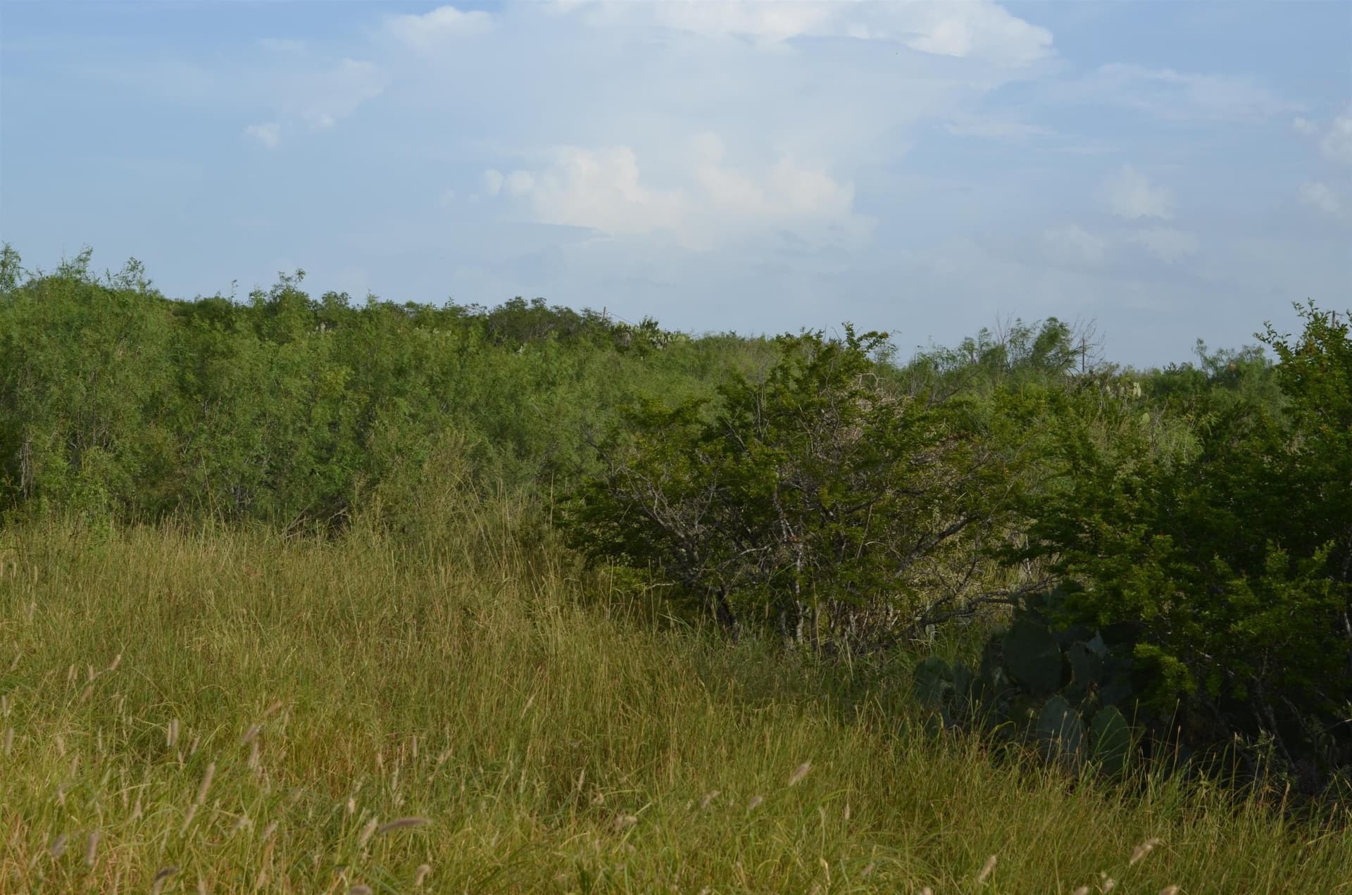 0.97 acres in USA County gallery image 4