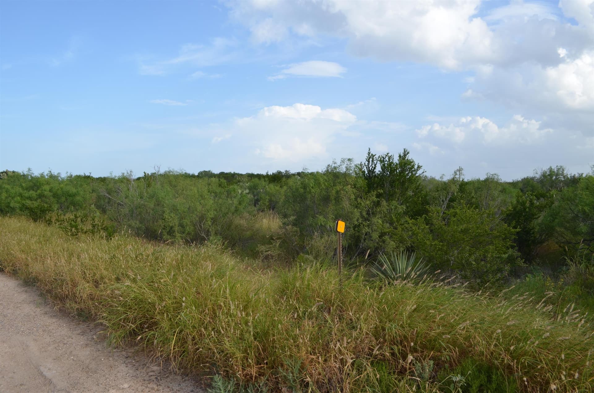 0.97 acres in USA County gallery image 3