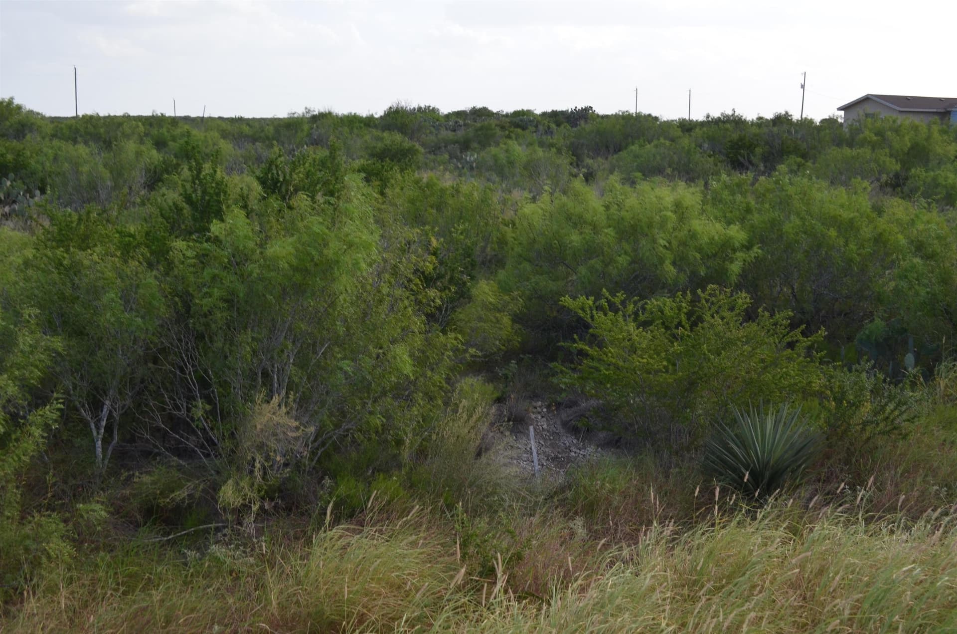 0.97 acres in USA County featured view