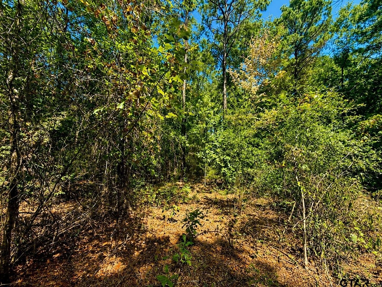 13.69 acres in Cherokee County - photo 15