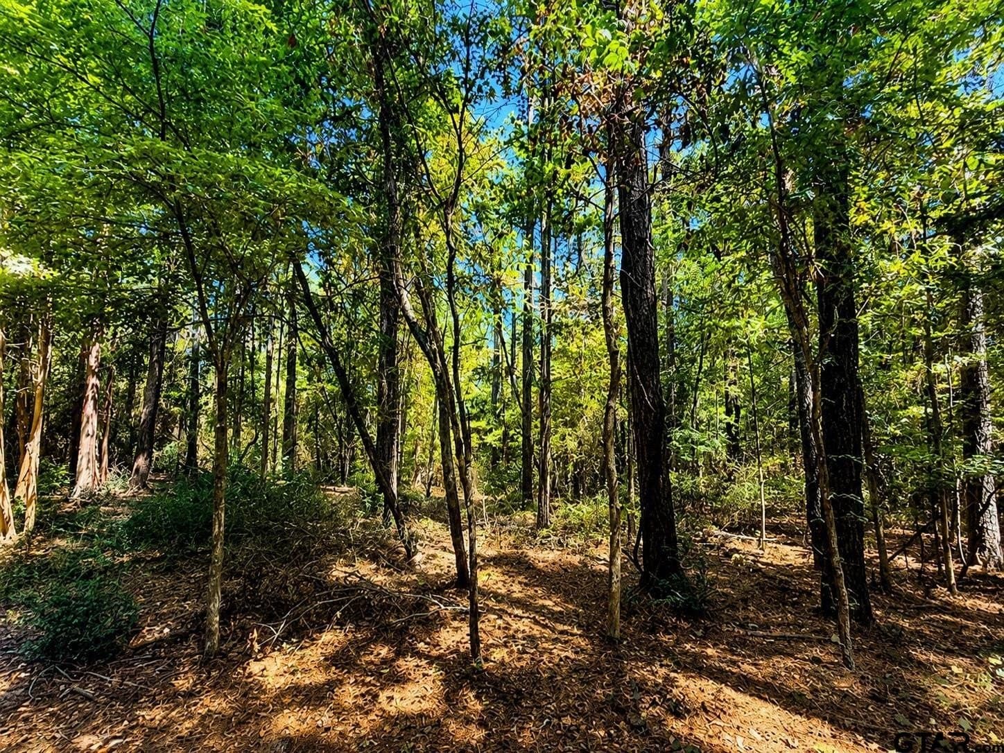 13.69 acres in Cherokee County - photo 18