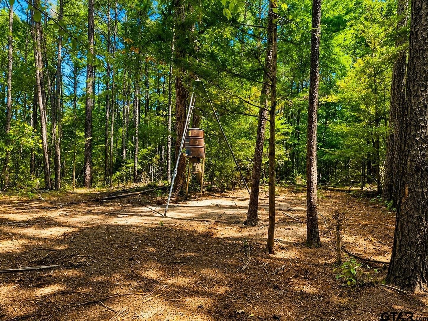 13.69 acres in Cherokee County - photo 14