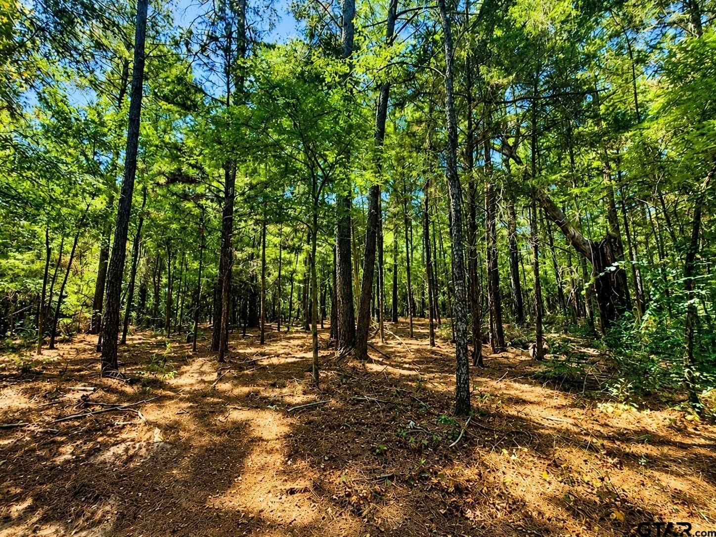 13.69 acres in Cherokee County - photo 16
