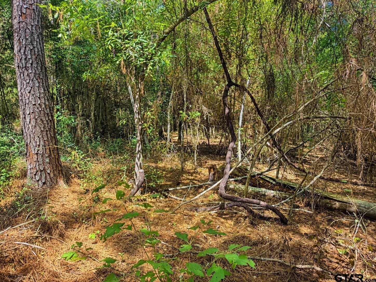 13.69 acres in Cherokee County - photo 19