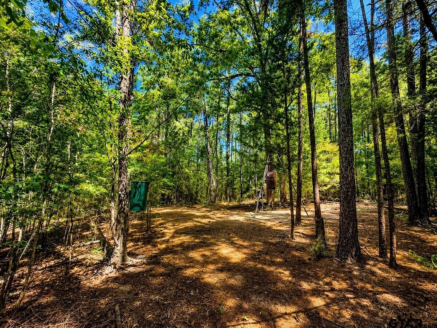 13.69 acres in Cherokee County - photo 13