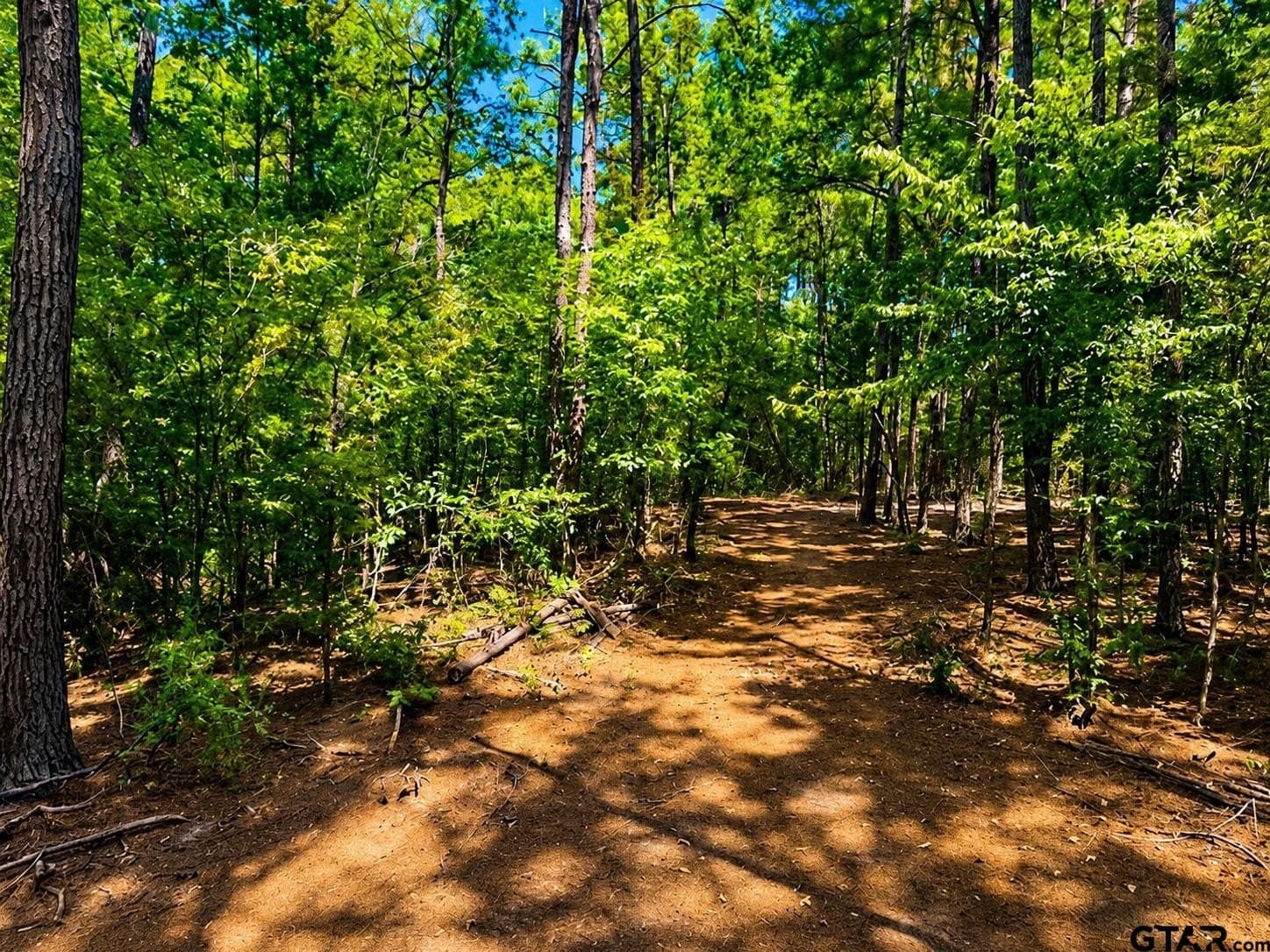 13.69 acres in Cherokee County - photo 12