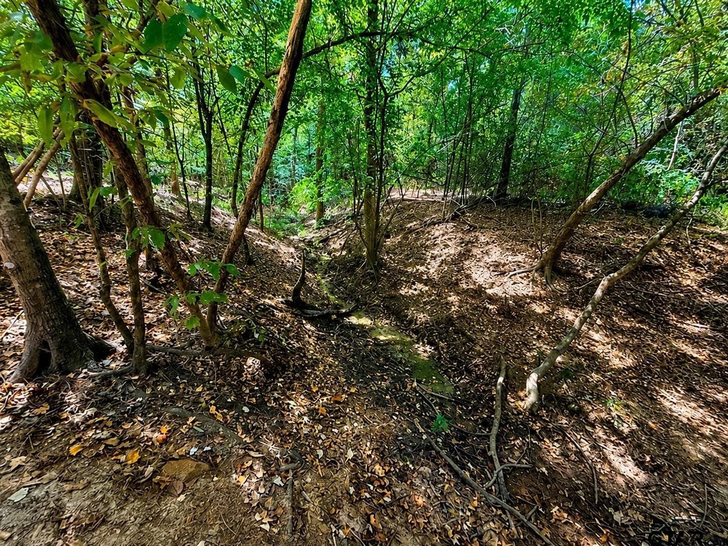 13.69 acres in Cherokee County - photo 17