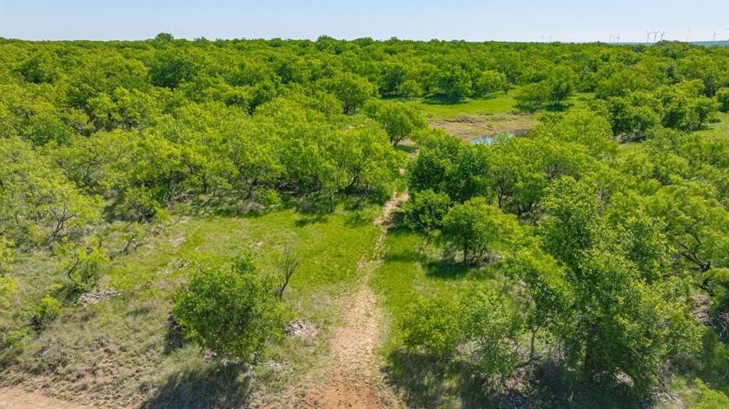 22 acres in Young County gallery image 3