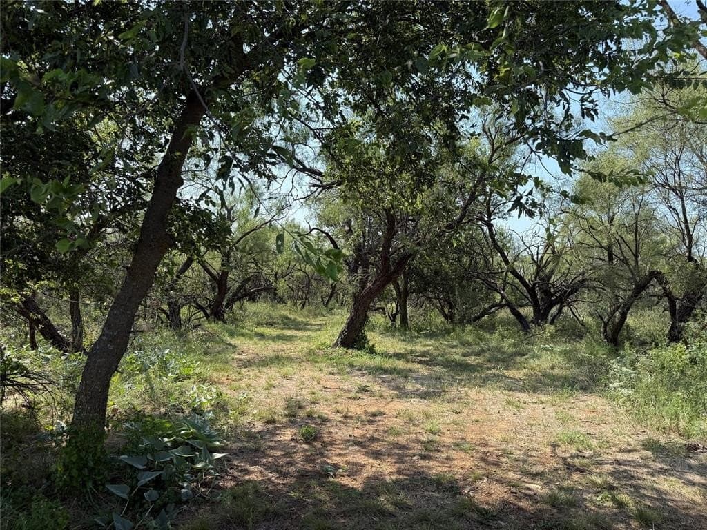 22 acres in Young County gallery image 3