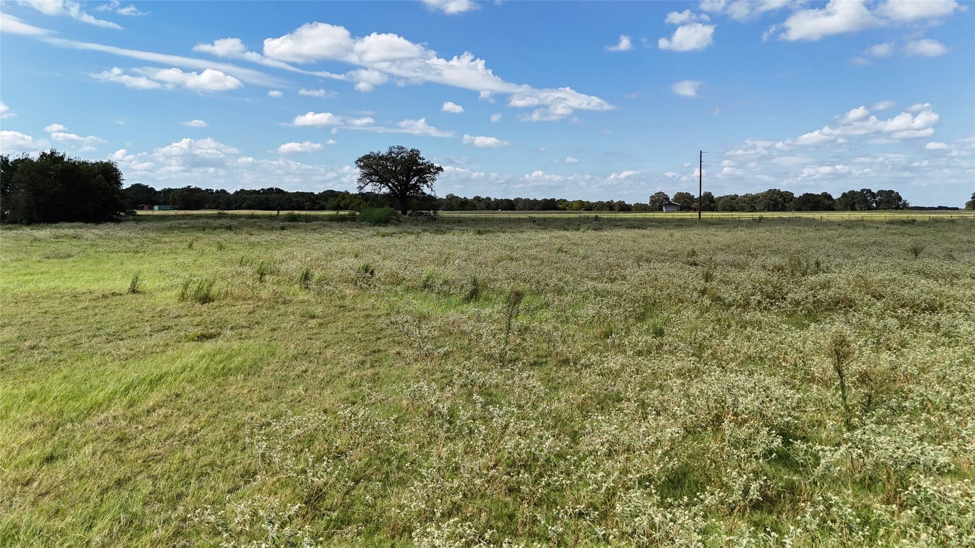20 acres in Navarro County - photo 7