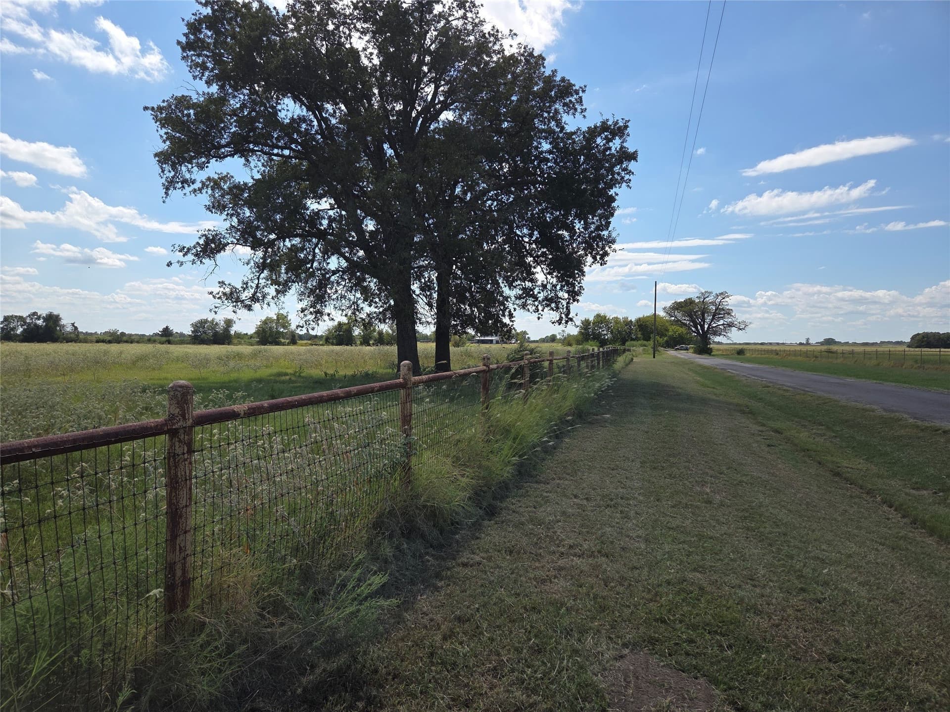 20 acres in Navarro County - photo 15