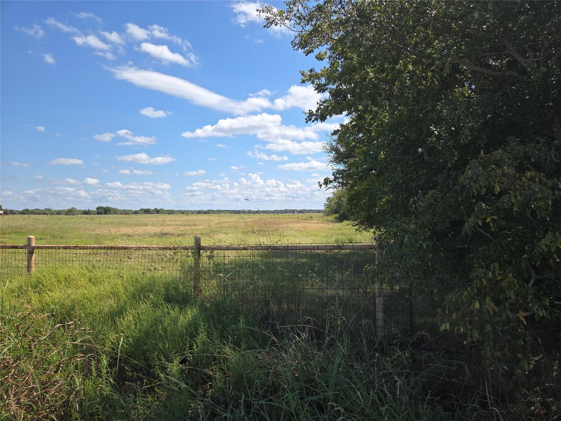 20 acres in Navarro County - photo 40