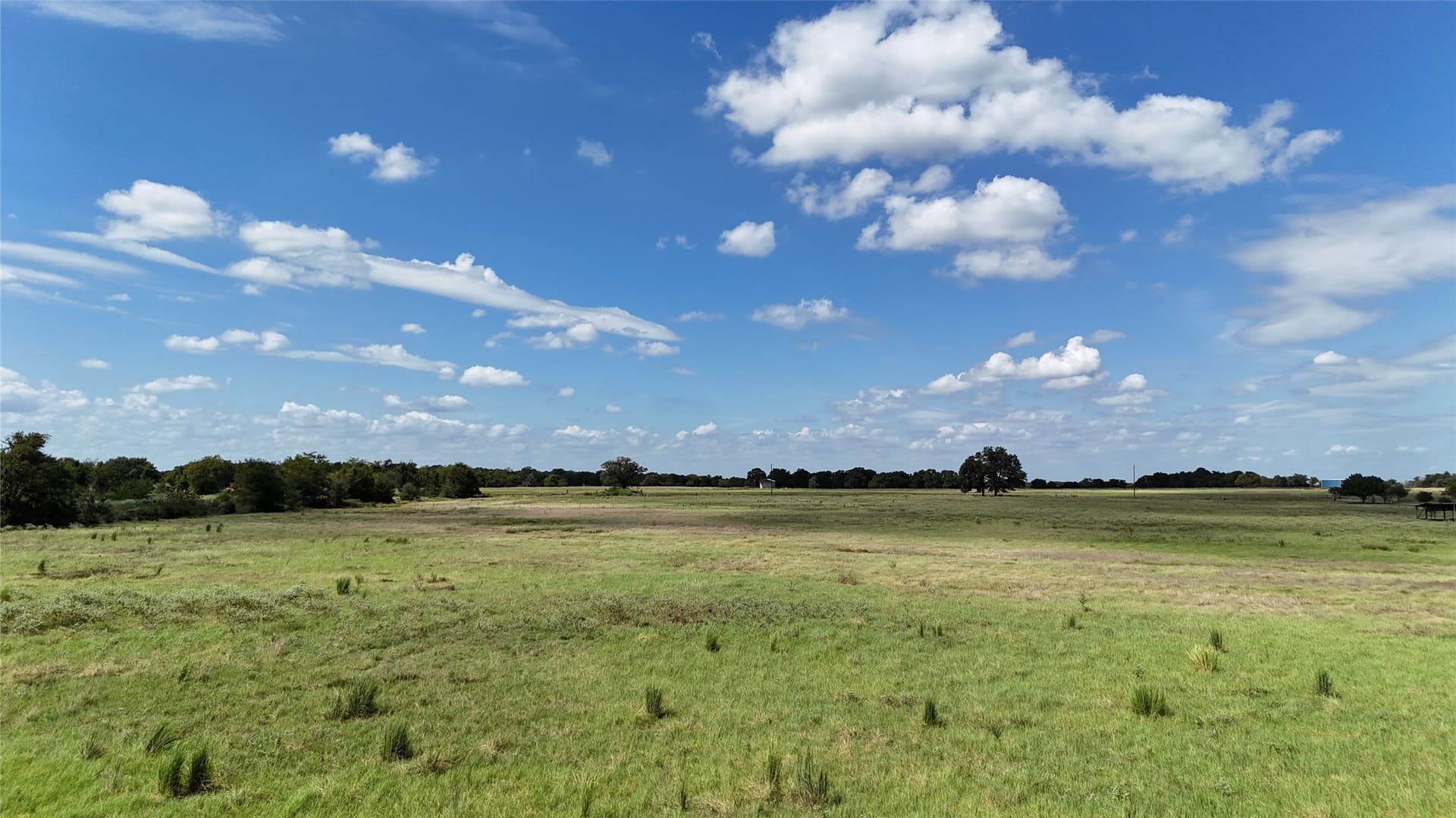 20 acres in Navarro County - photo 32
