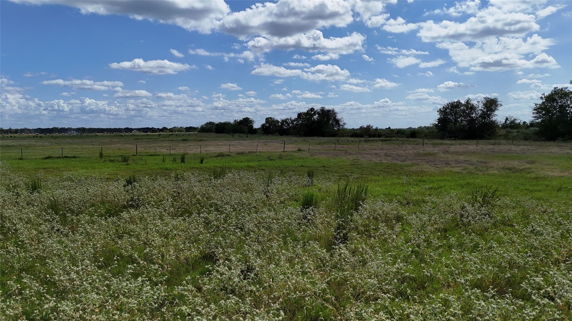 20 acres in Navarro County - photo 22