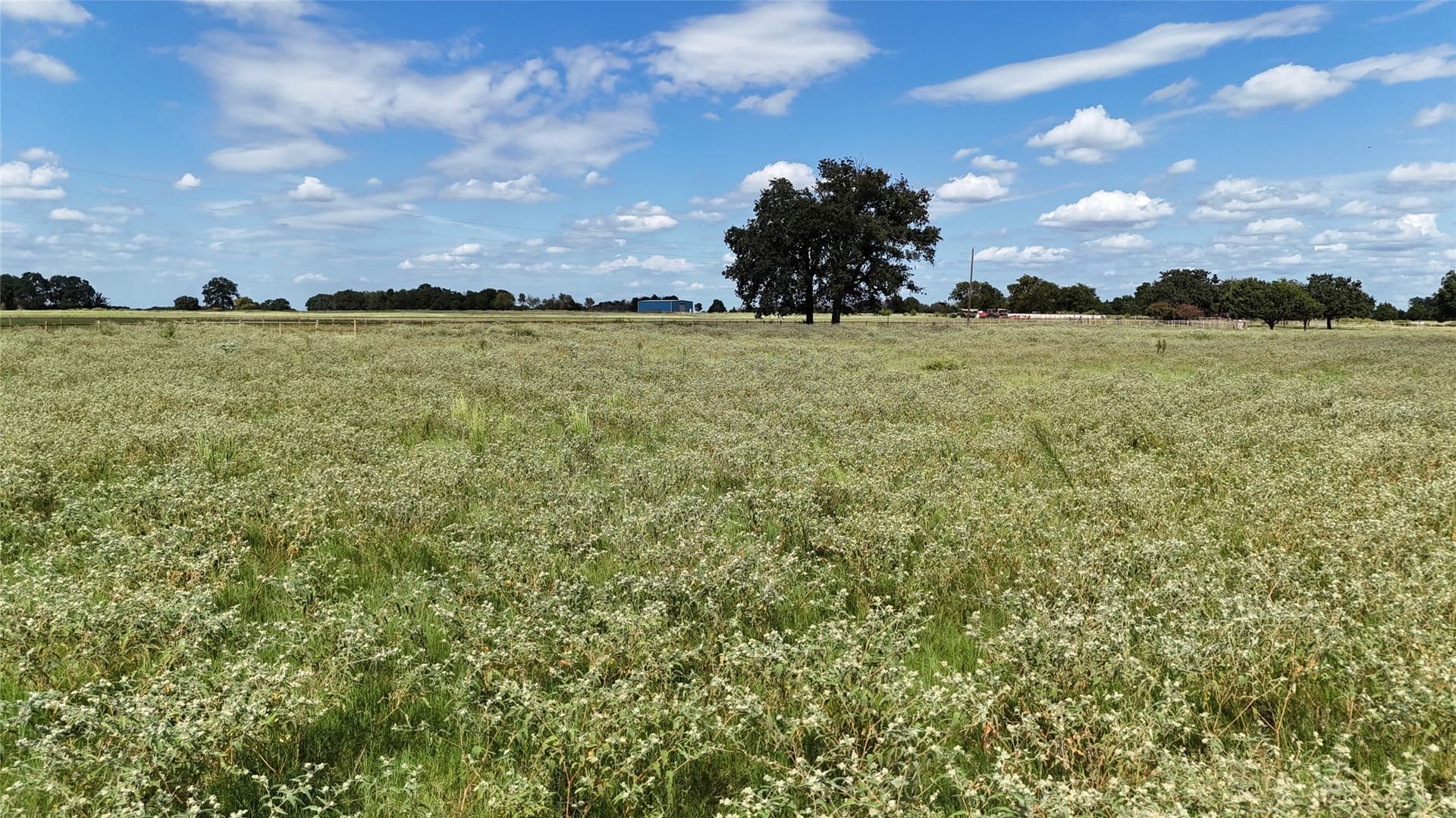 20 acres in Navarro County - photo 20
