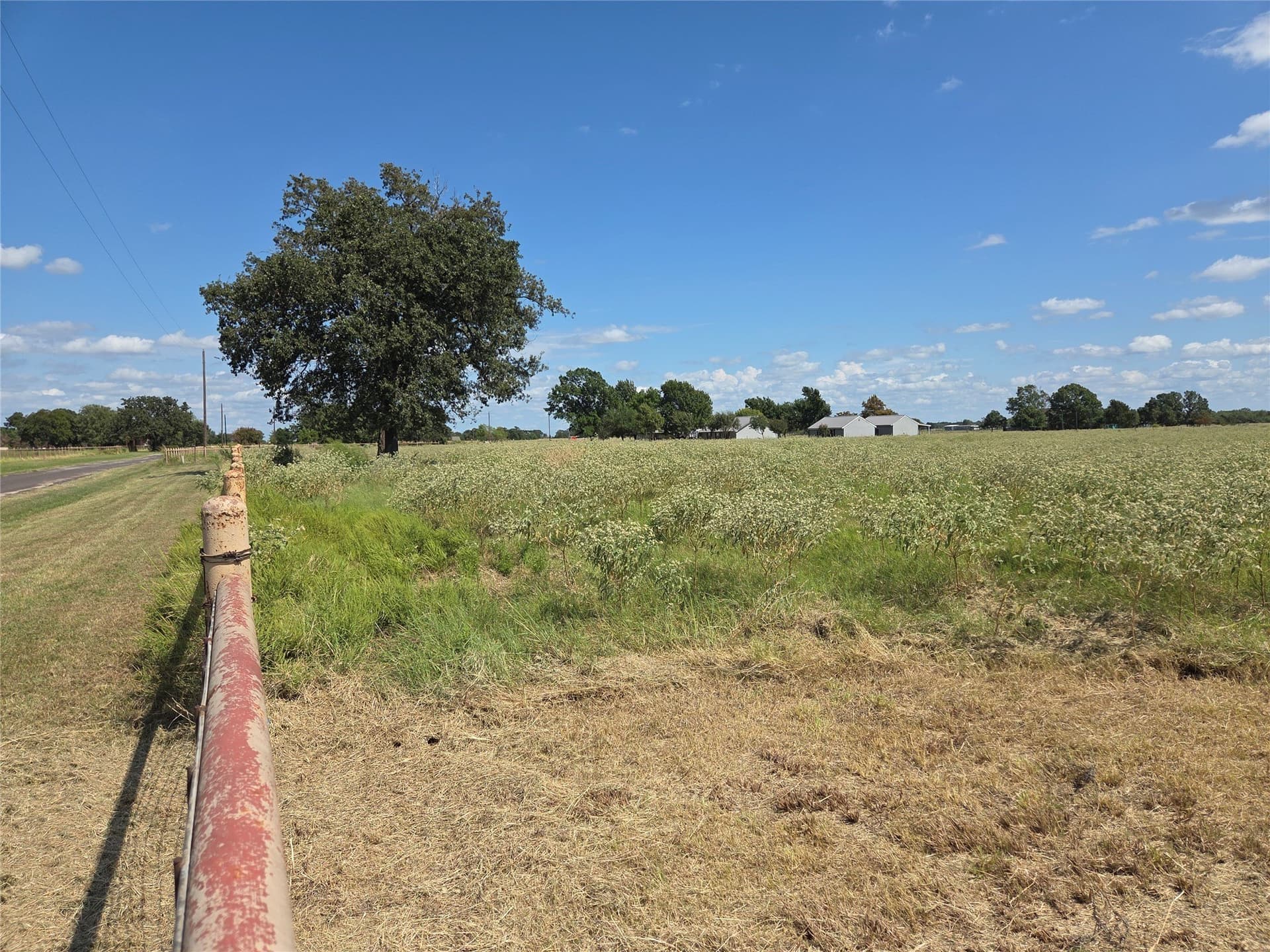 20 acres in Navarro County - photo 36
