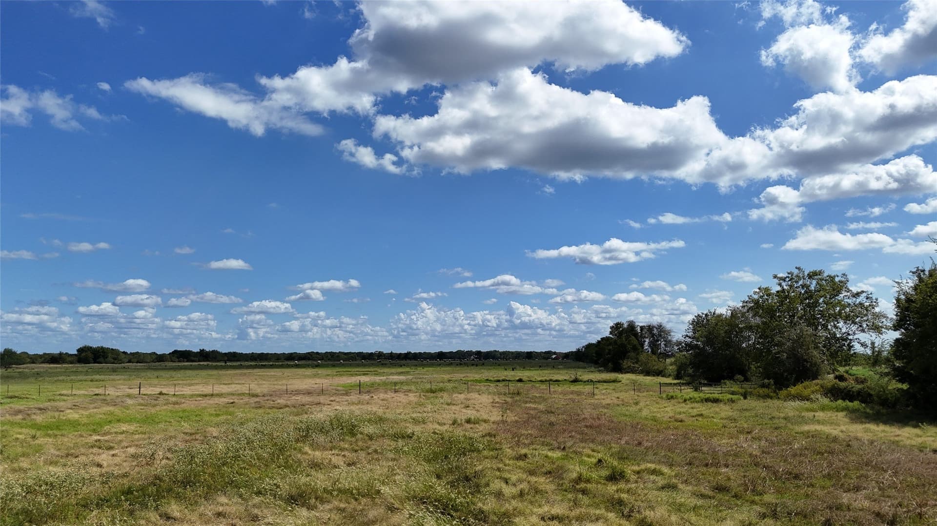 20 acres in Navarro County - photo 39