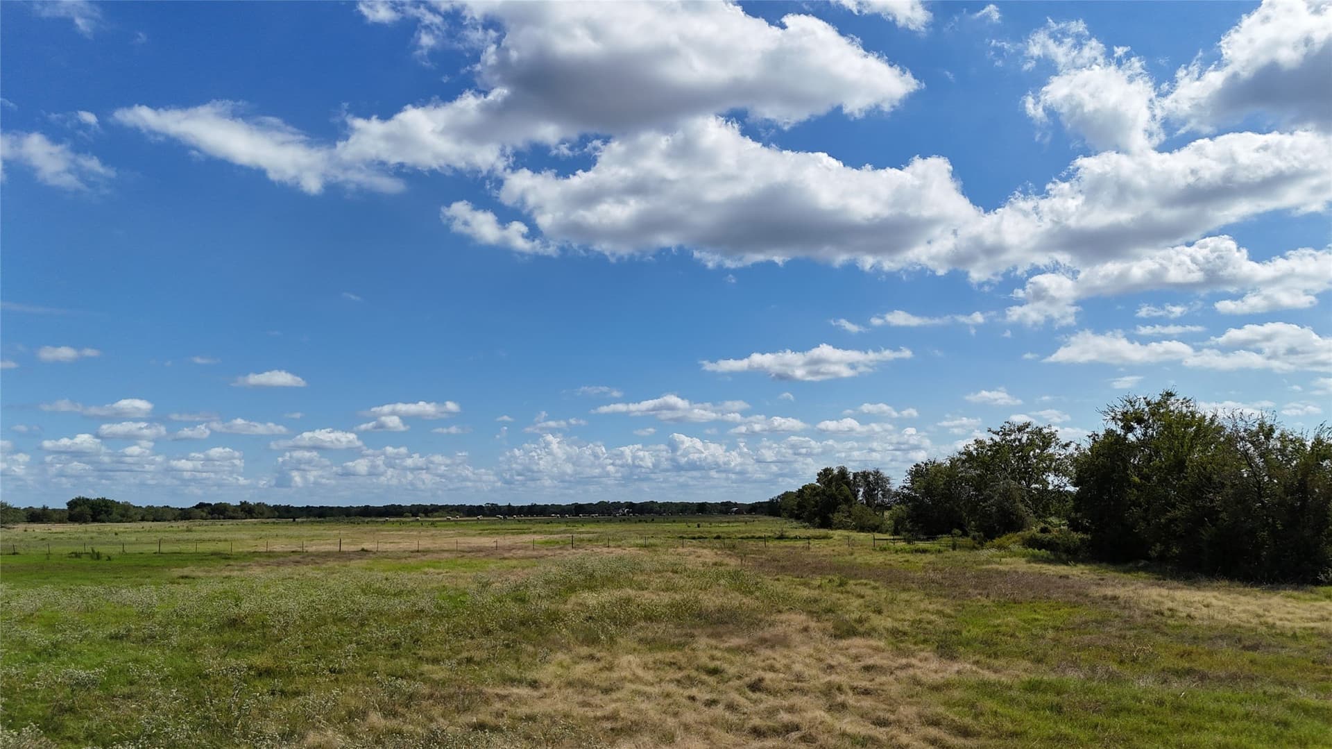20 acres in Navarro County - photo 24