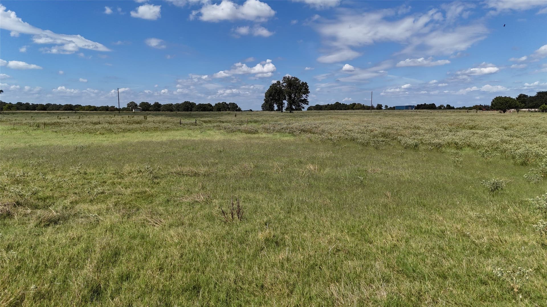 20 acres in Navarro County - photo 33