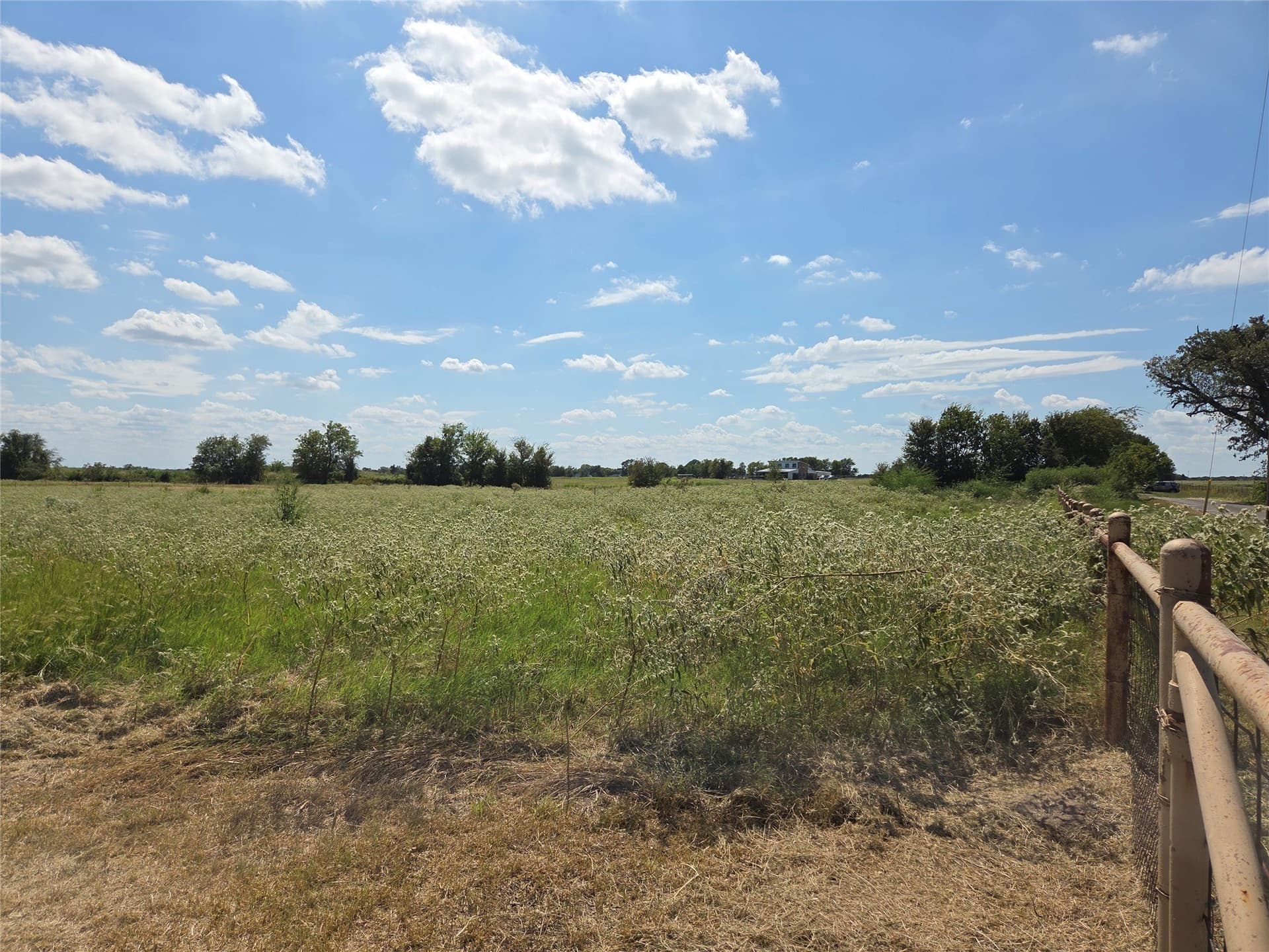 20 acres in Navarro County - photo 12