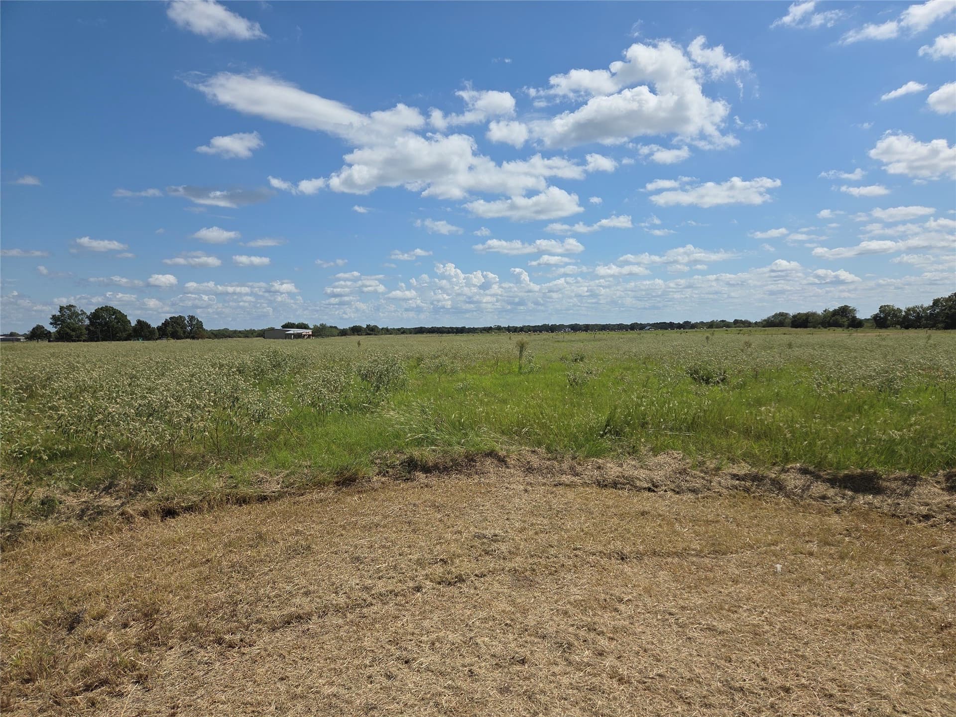 20 acres in Navarro County - photo 11