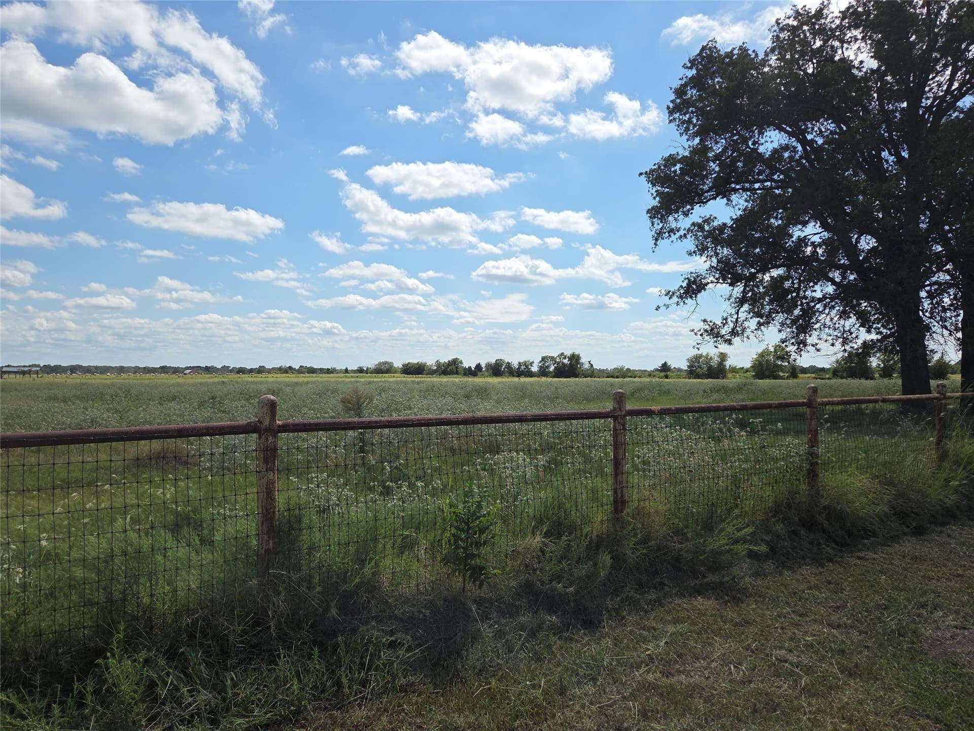 20 acres in Navarro County - photo 14