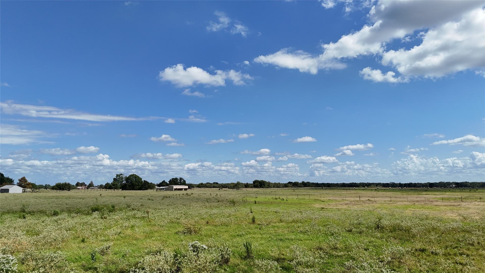 20 acres in Navarro County - photo 25