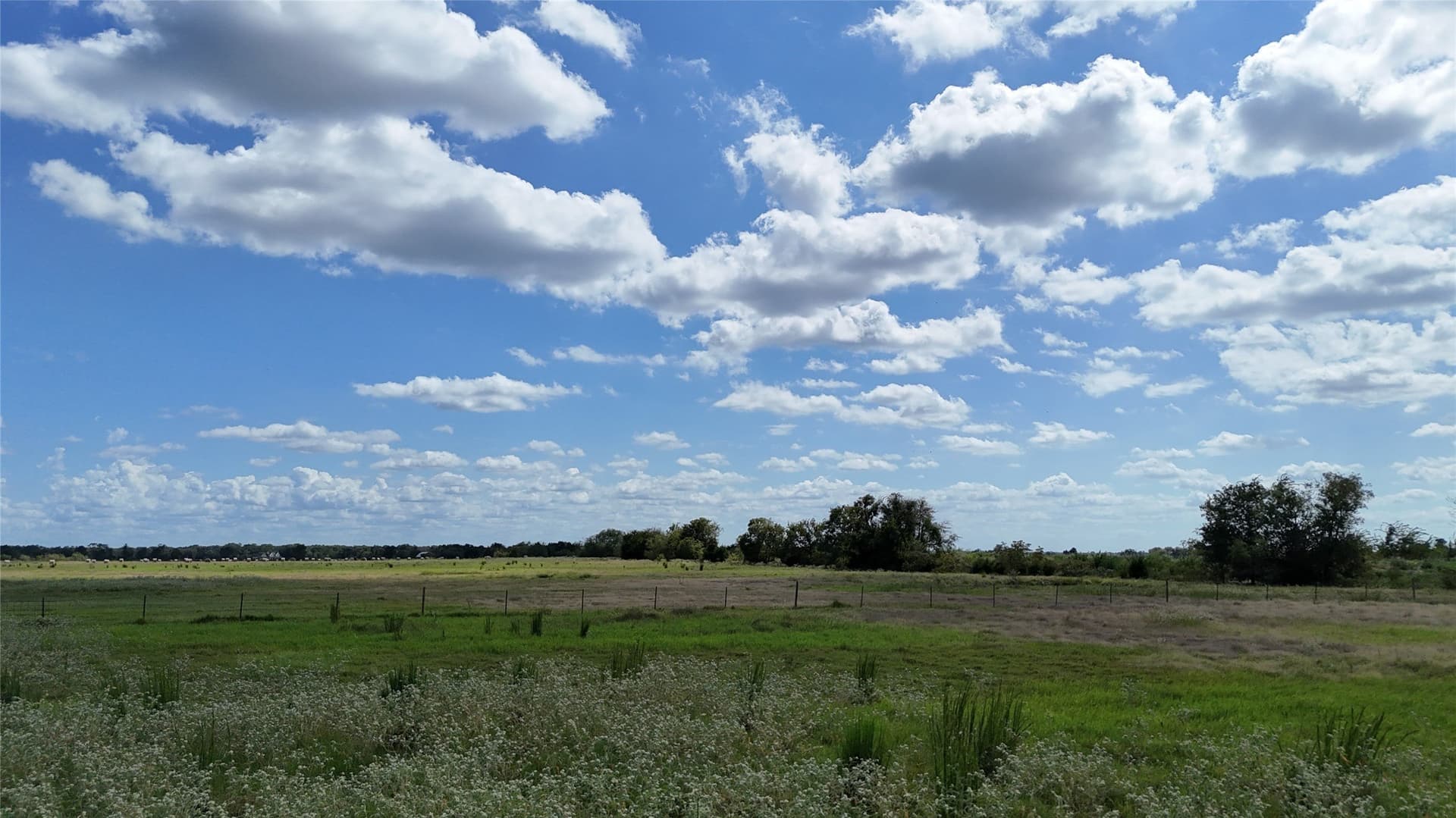 20 acres in Navarro County - photo 23