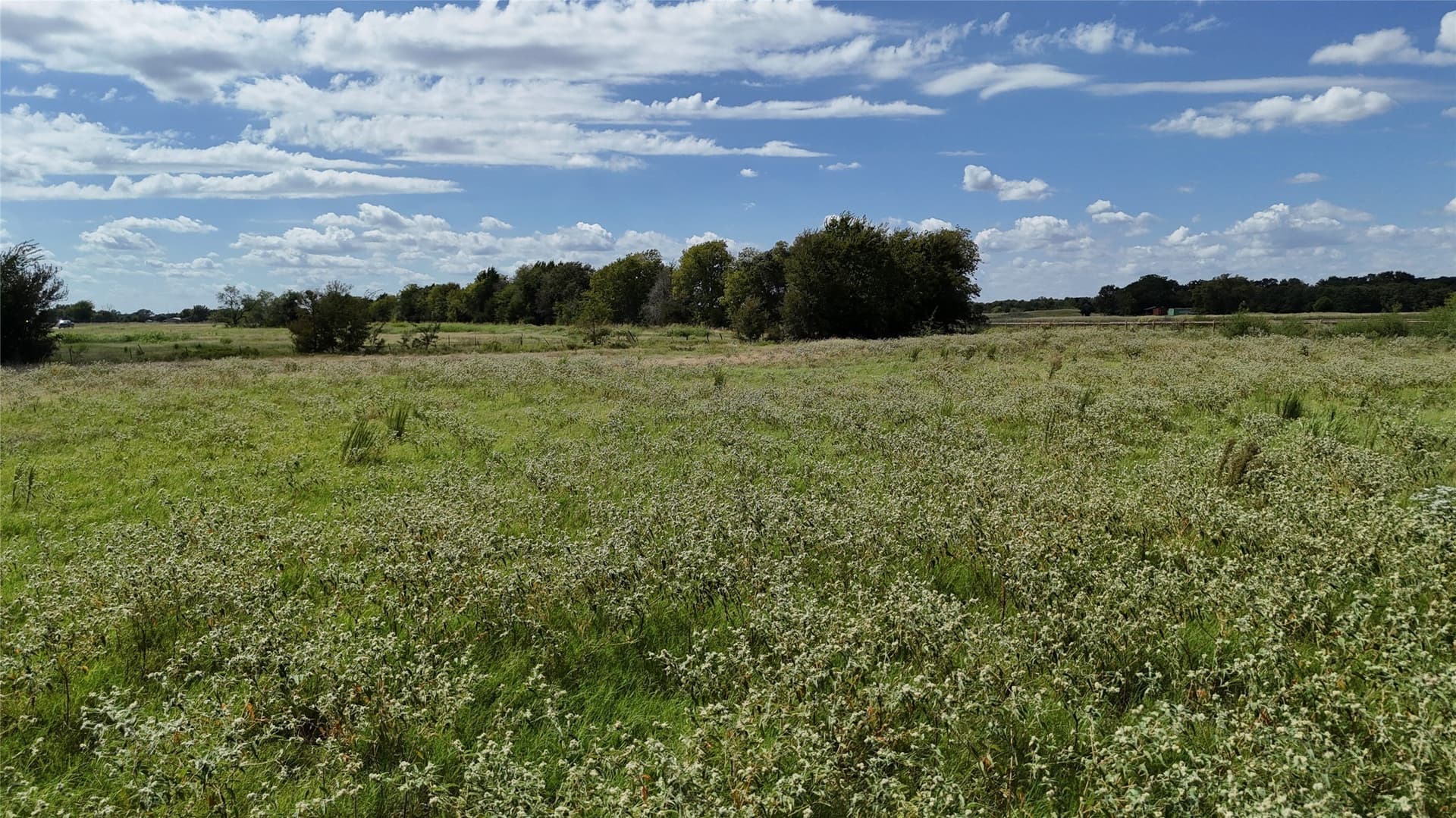 20 acres in Navarro County - photo 21