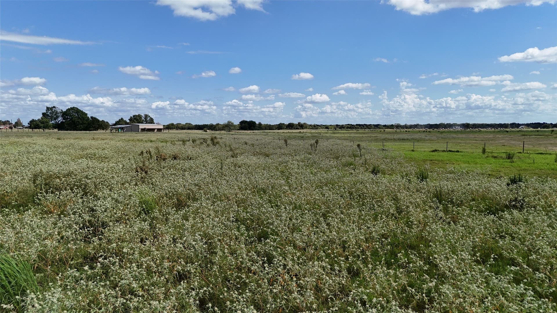 20 acres in Navarro County - photo 8