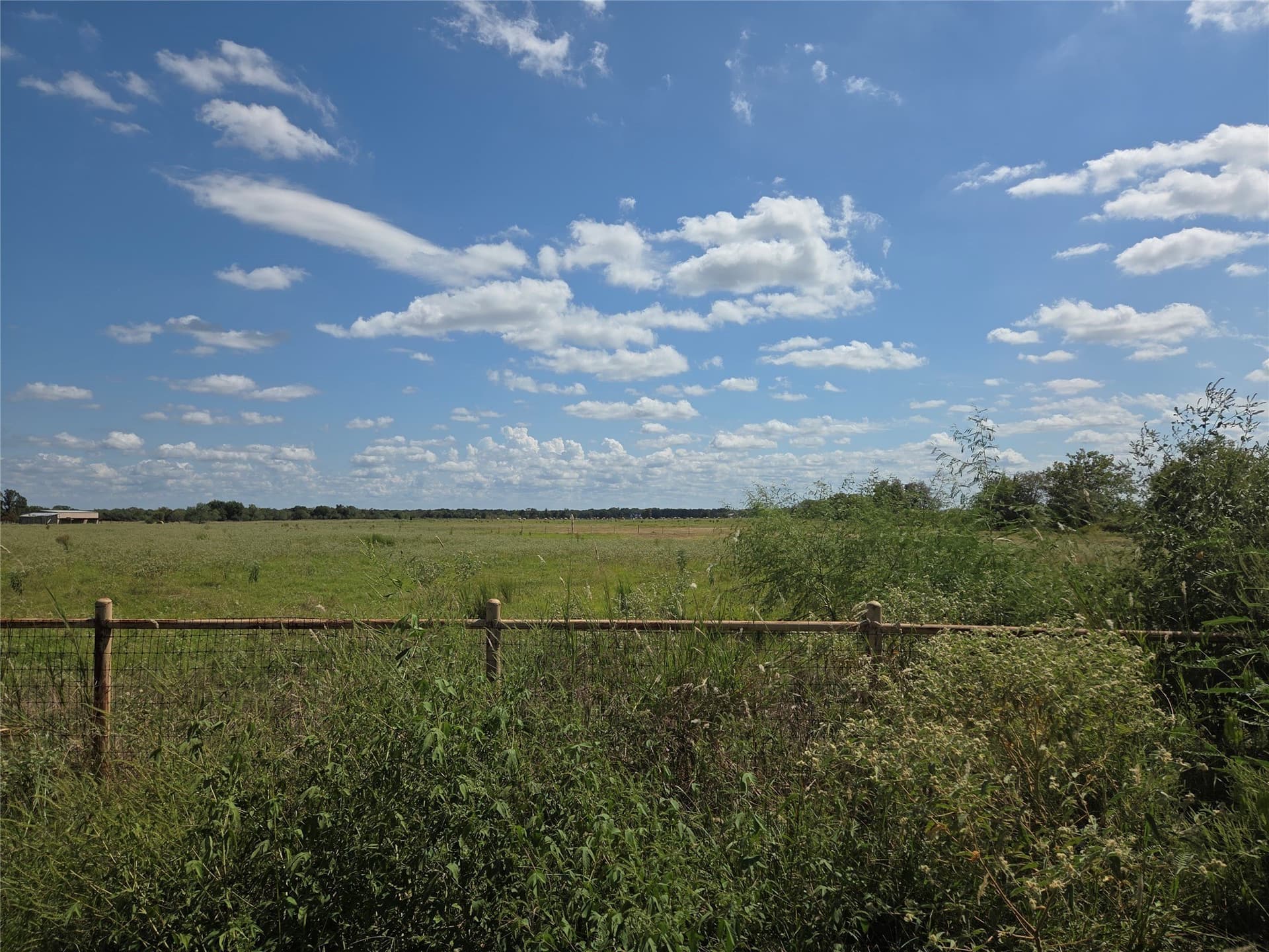 20 acres in Navarro County - photo 35