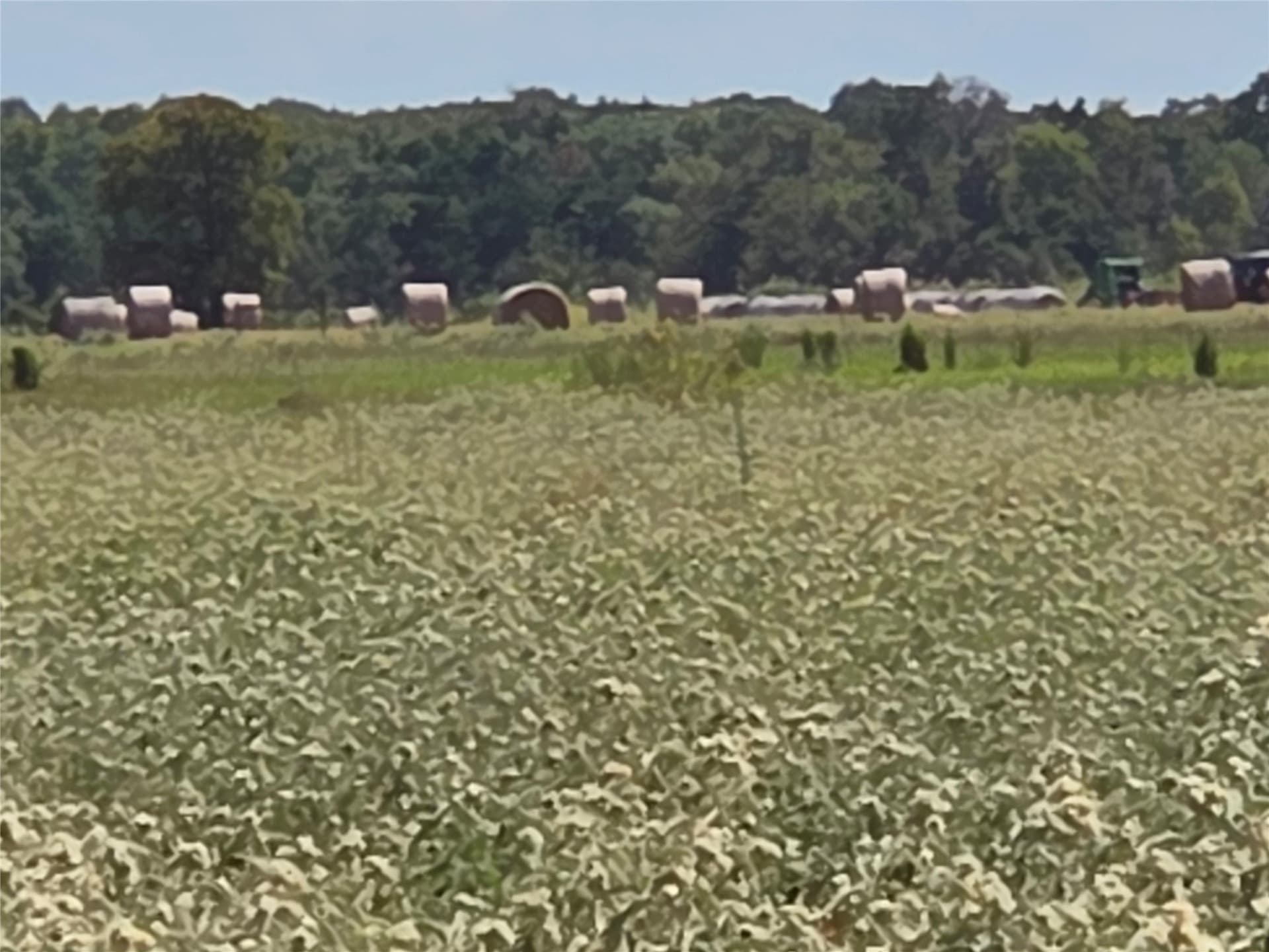 20 acres in Navarro County - photo 17