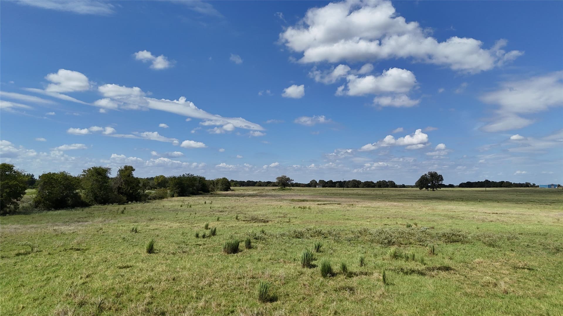 20 acres in Navarro County - photo 6