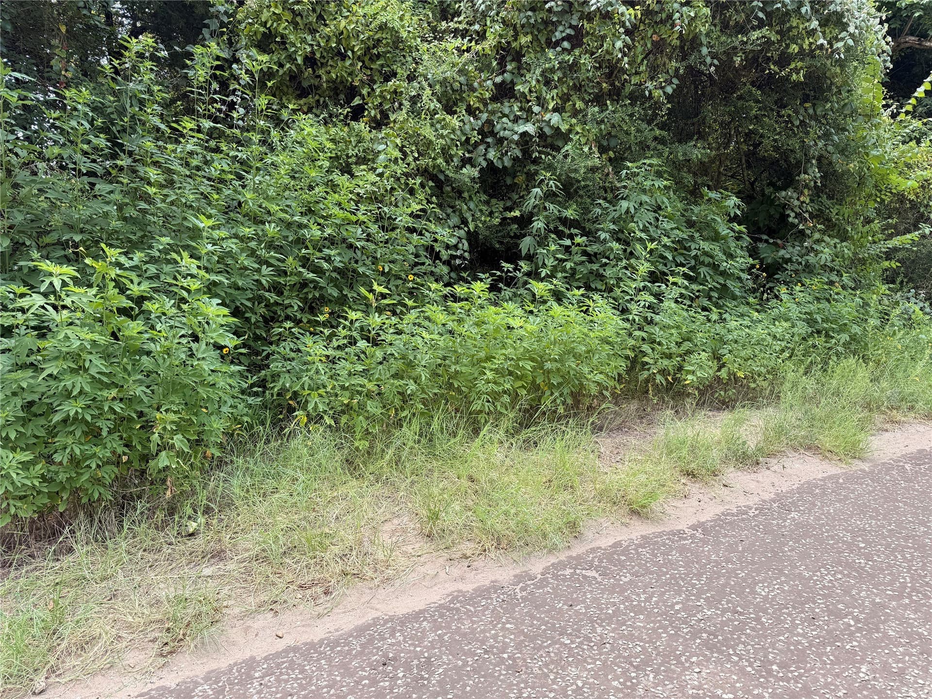 1.5 acres in Freestone County featured view