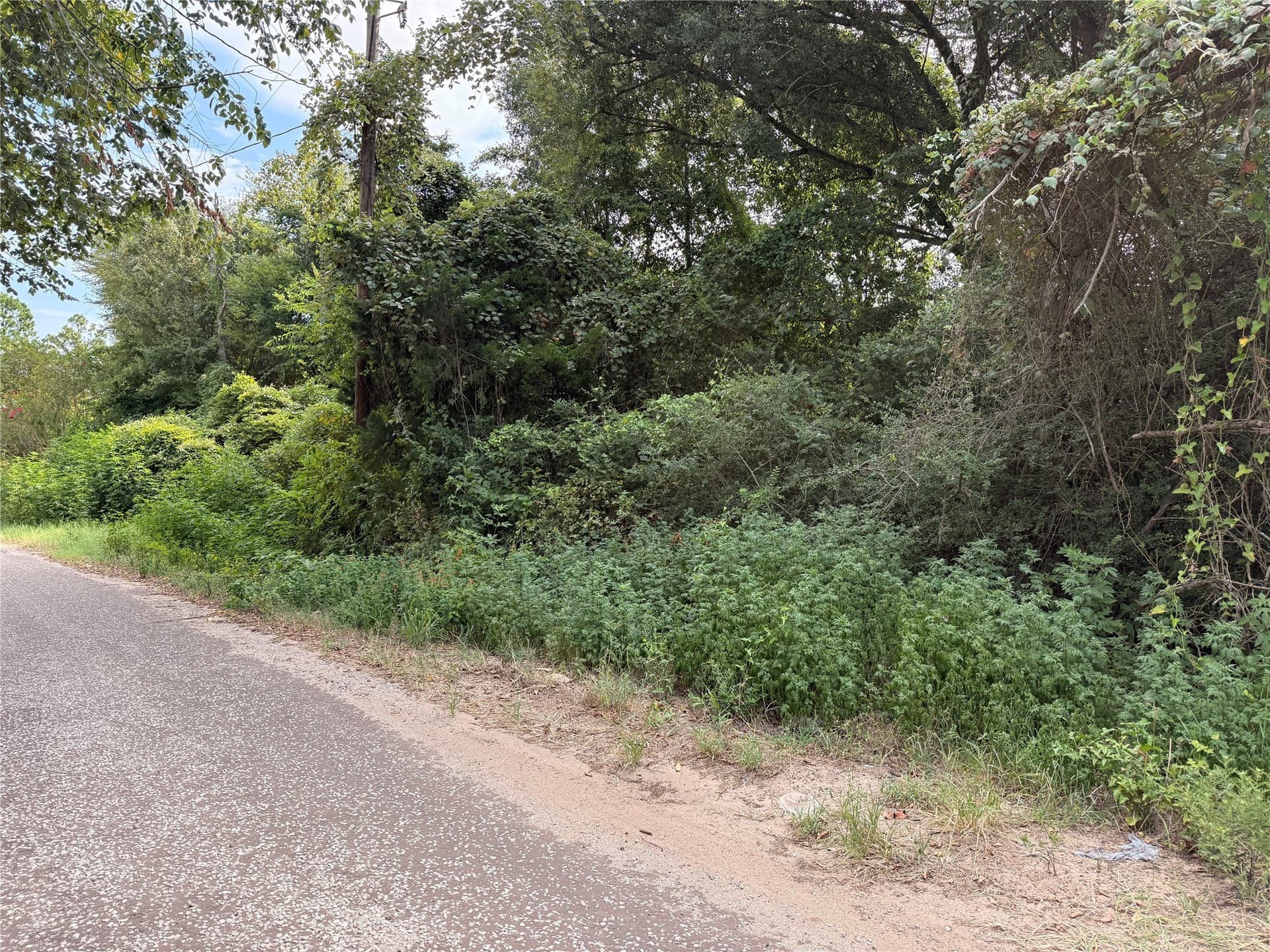 1.5 acres in Freestone County gallery image 3