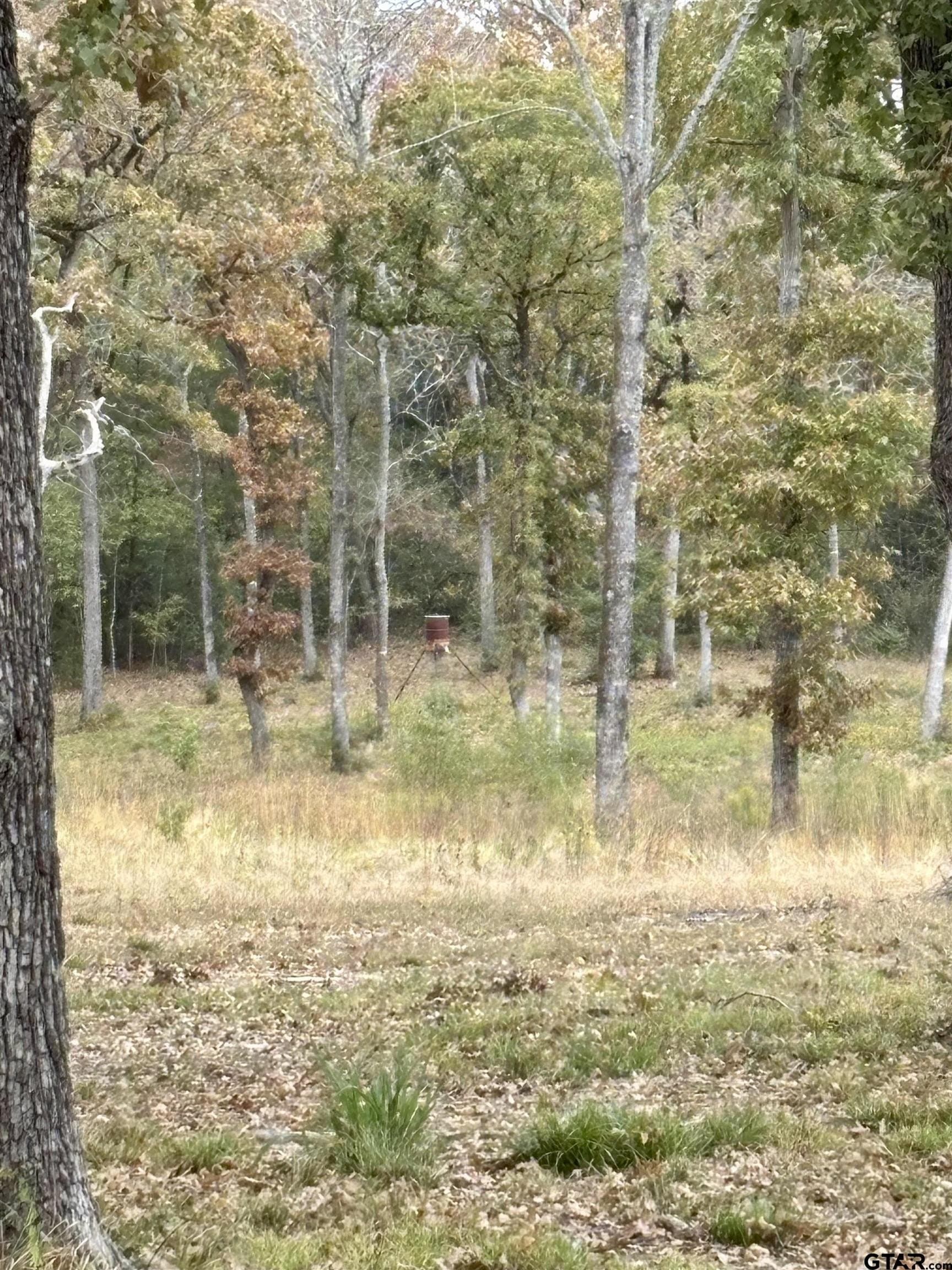 29.34 acres in Anderson County - photo 9