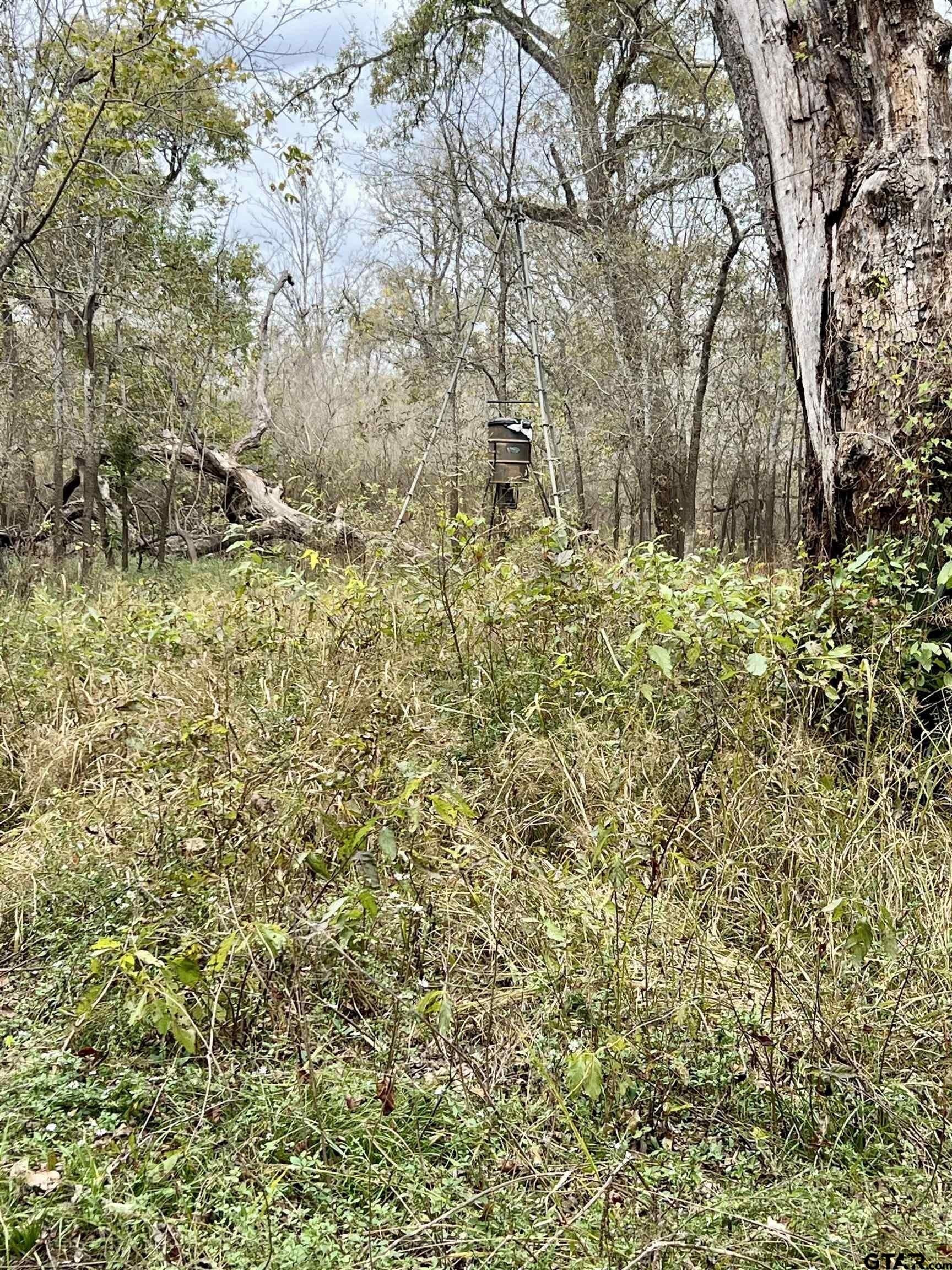 29.34 acres in Anderson County - photo 17