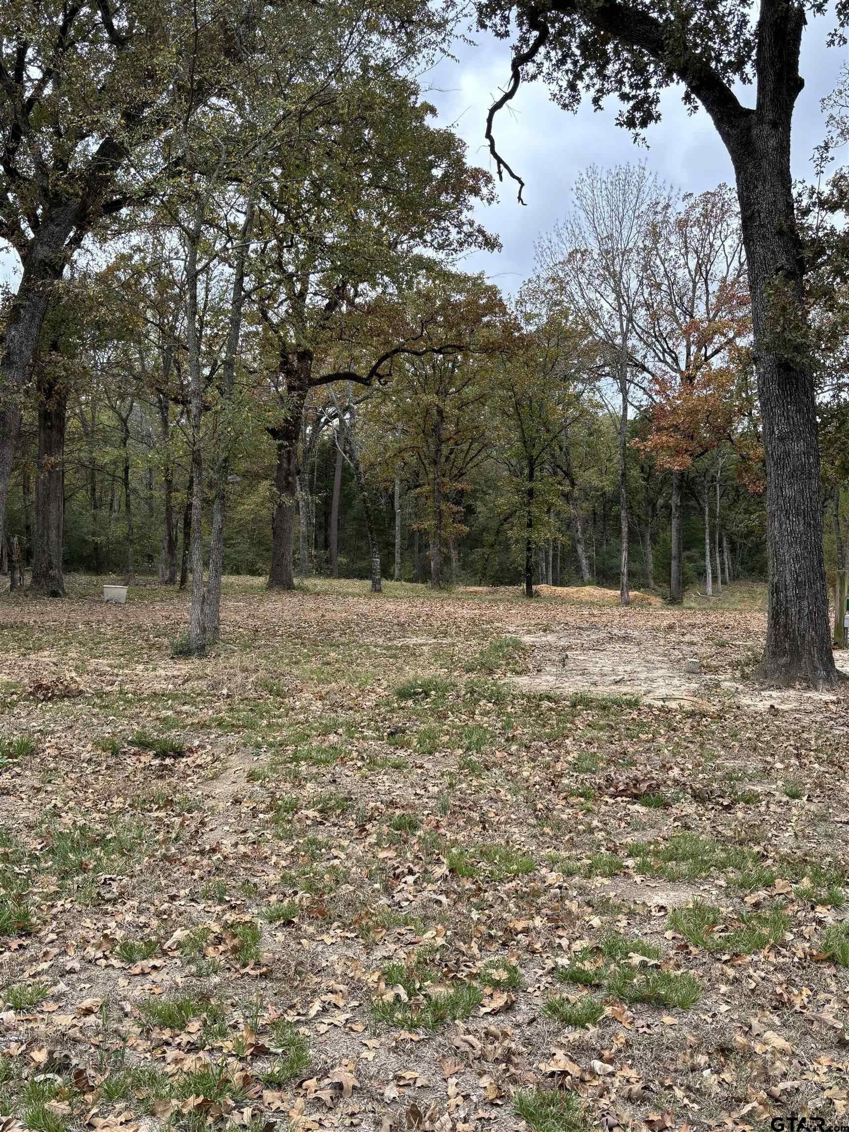29.34 acres in Anderson County - photo 13