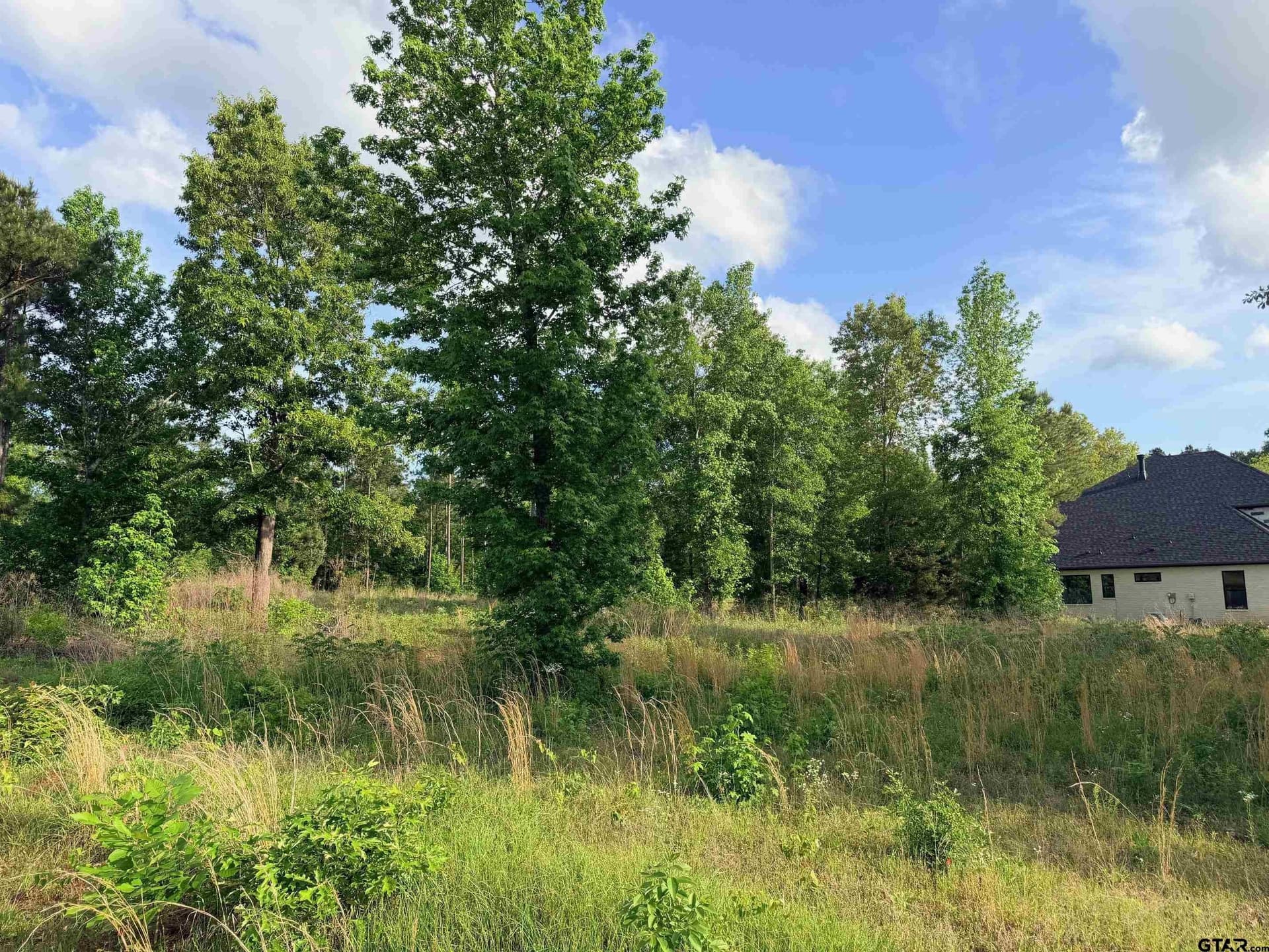1.03 acres in Cherokee County - photo 9