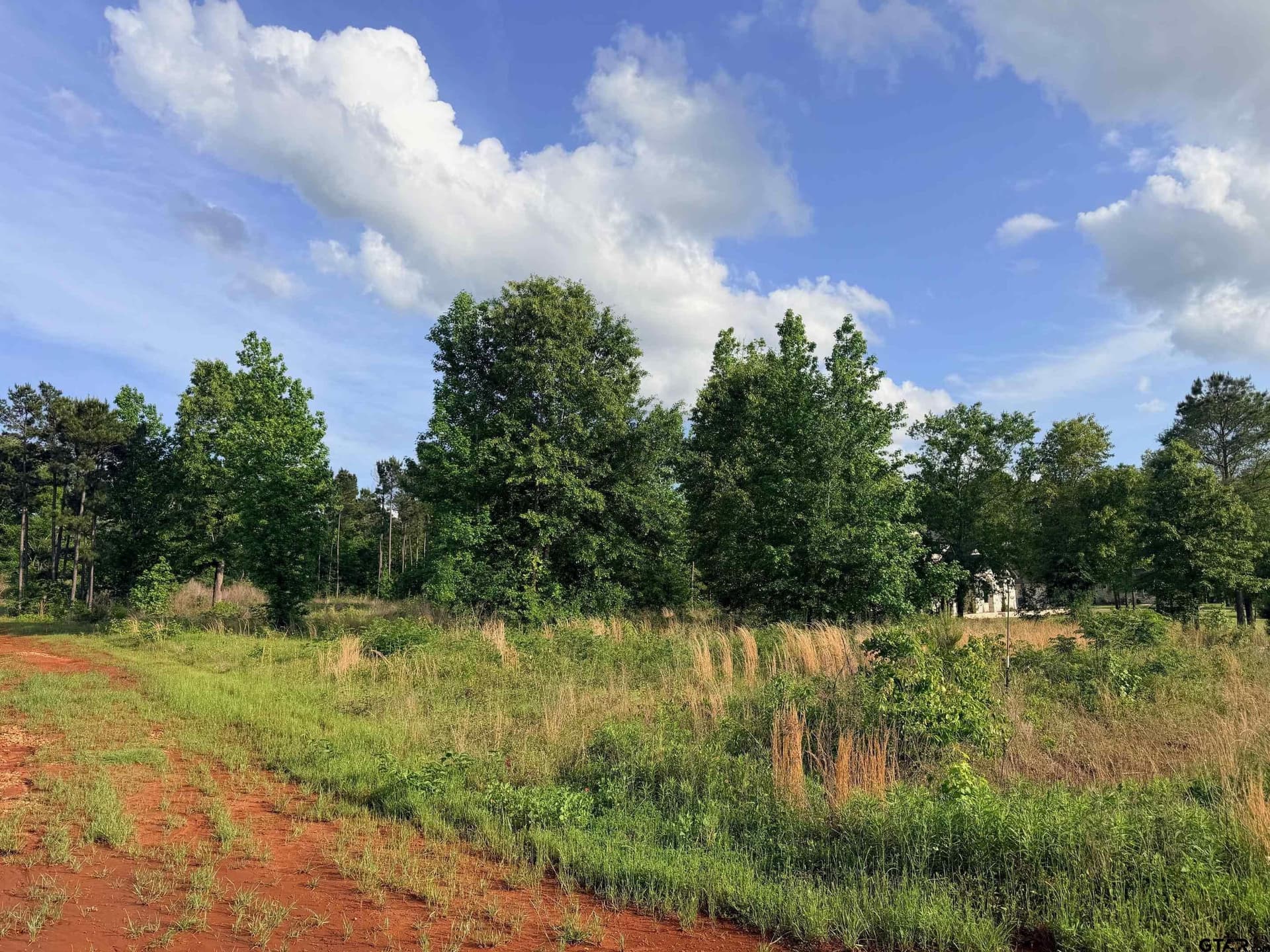 1.03 acres in Cherokee County - photo 8