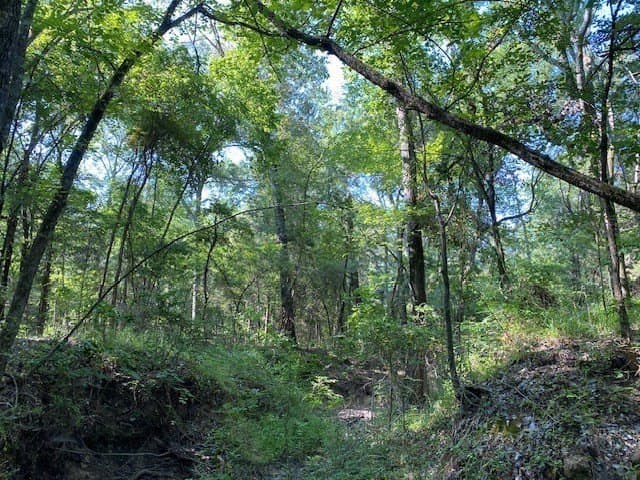 12.42 acres in HENDERSON County - photo 3