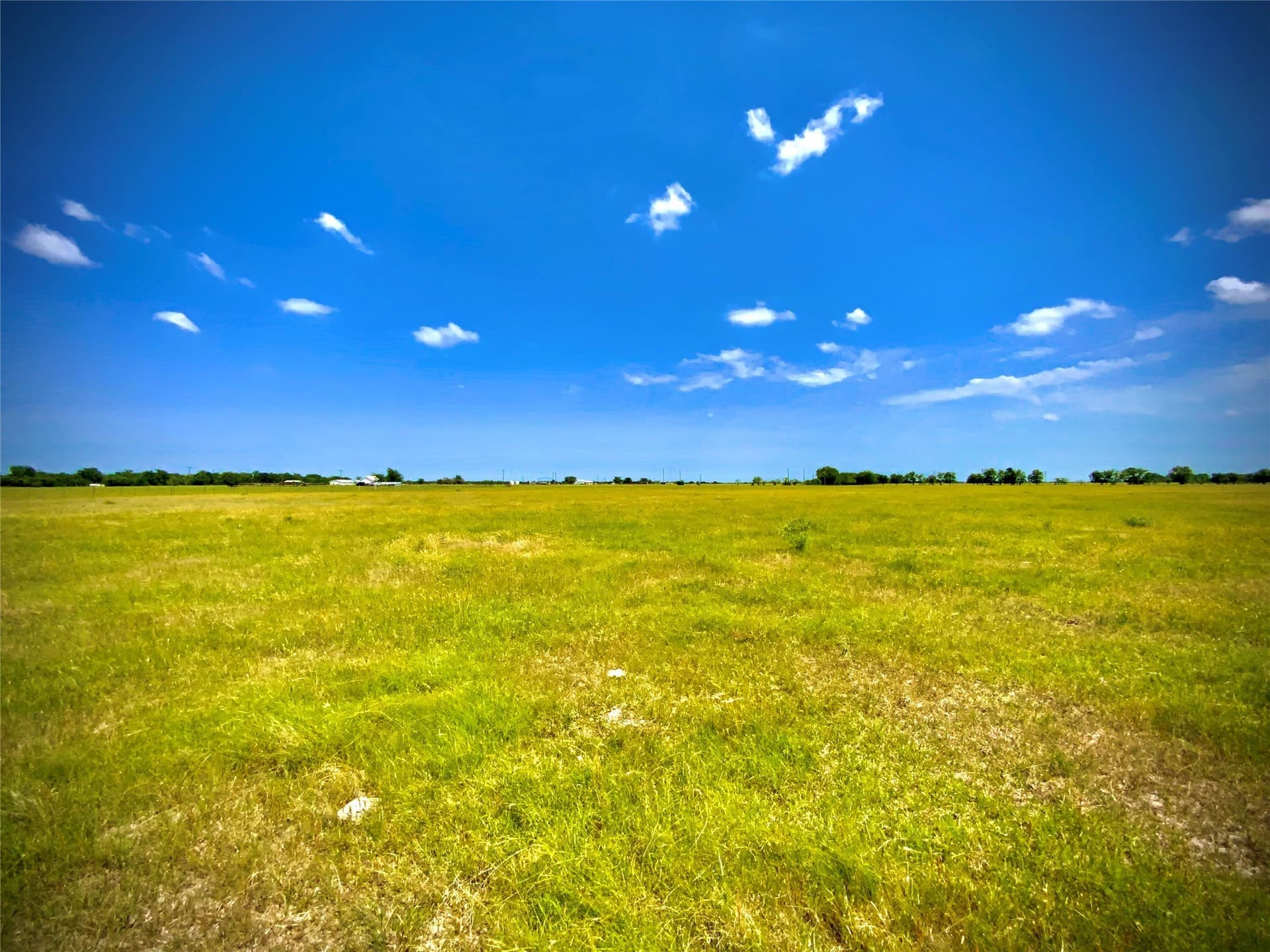 22.37 acres in Falls County - photo 5