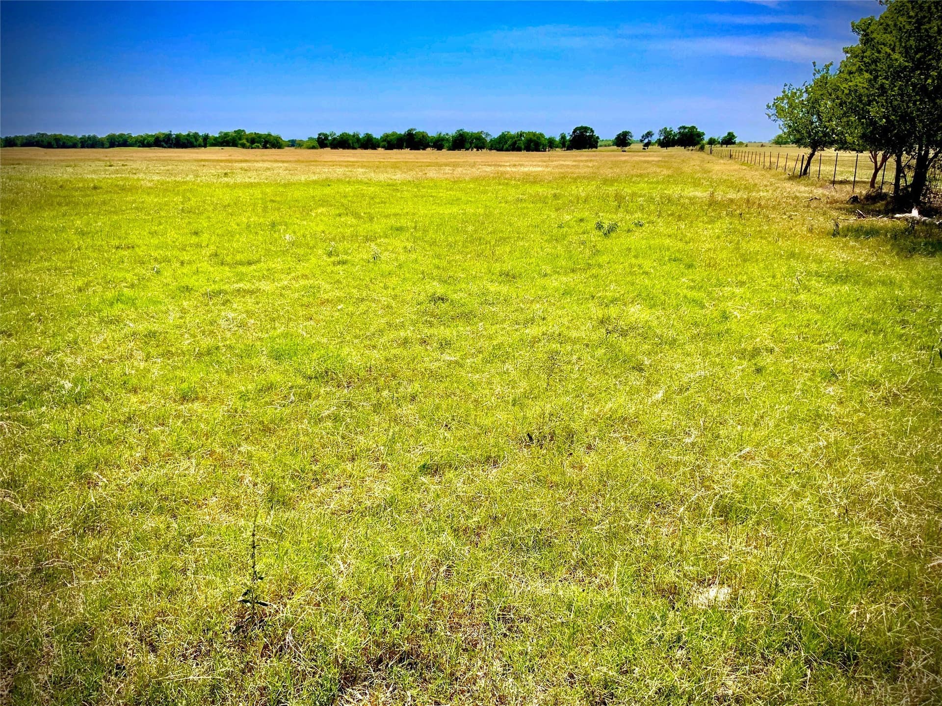 22.37 acres in Falls County - photo 6