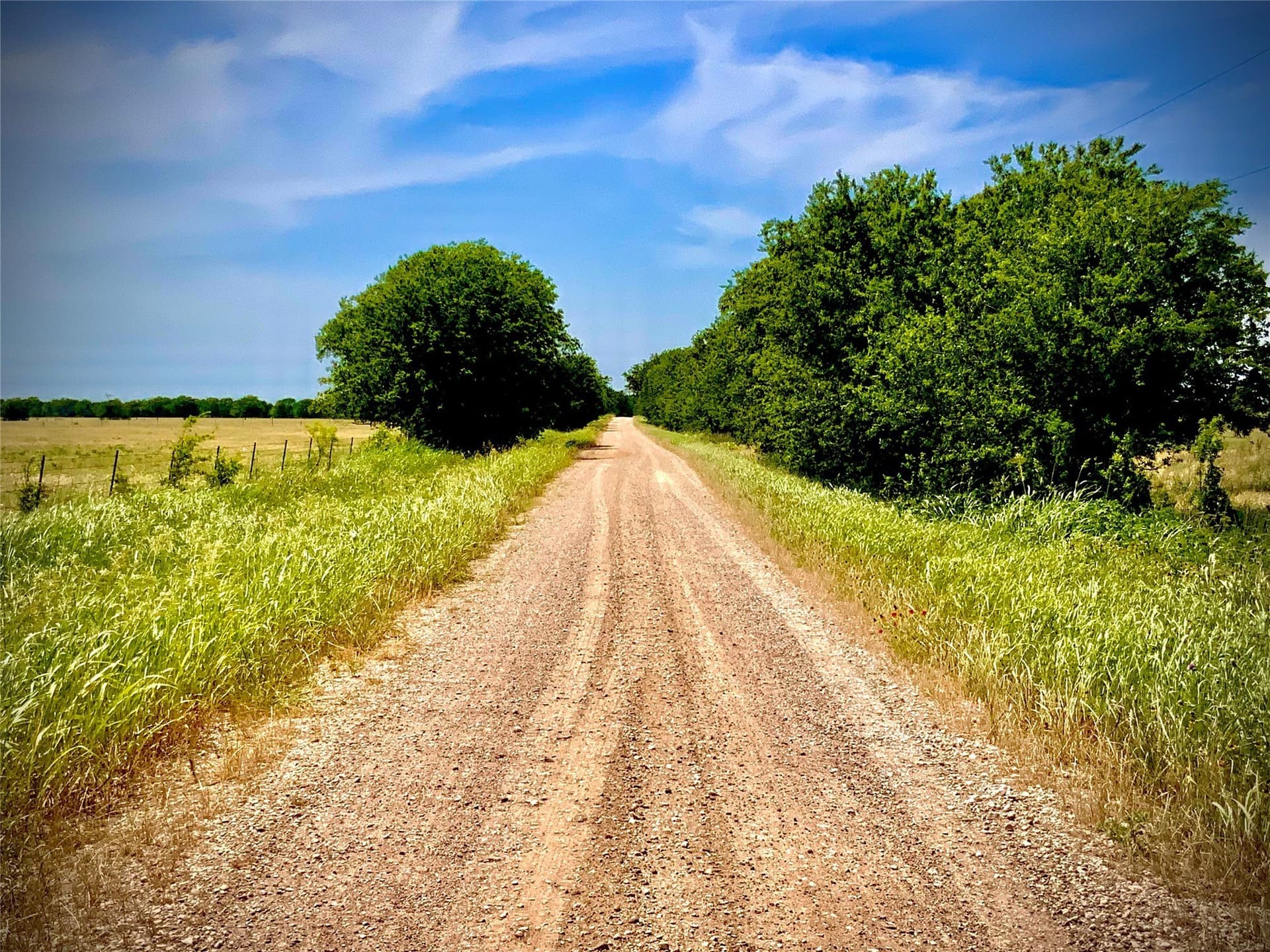 22.37 acres in Falls County - photo 4