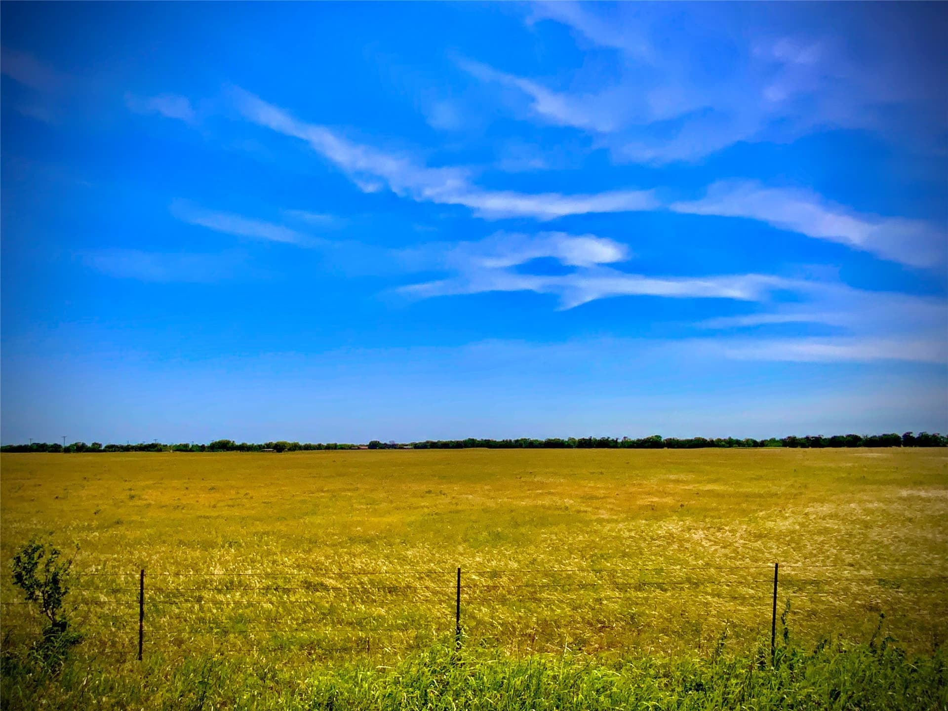 22.37 acres in Falls County - photo 3