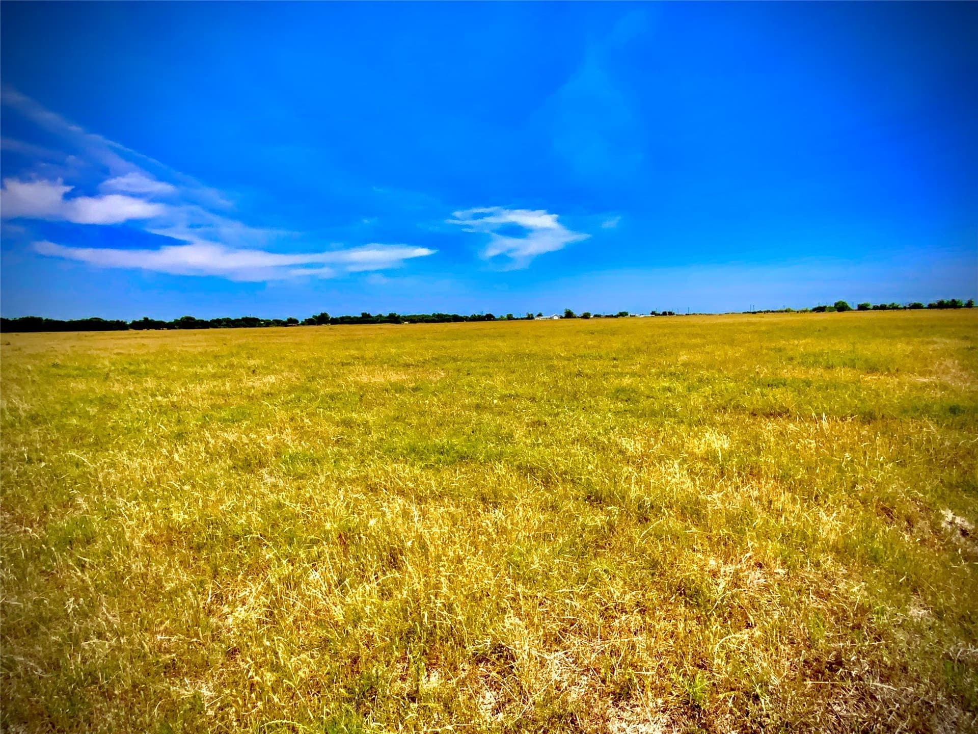 22.37 acres in Falls County - photo 2